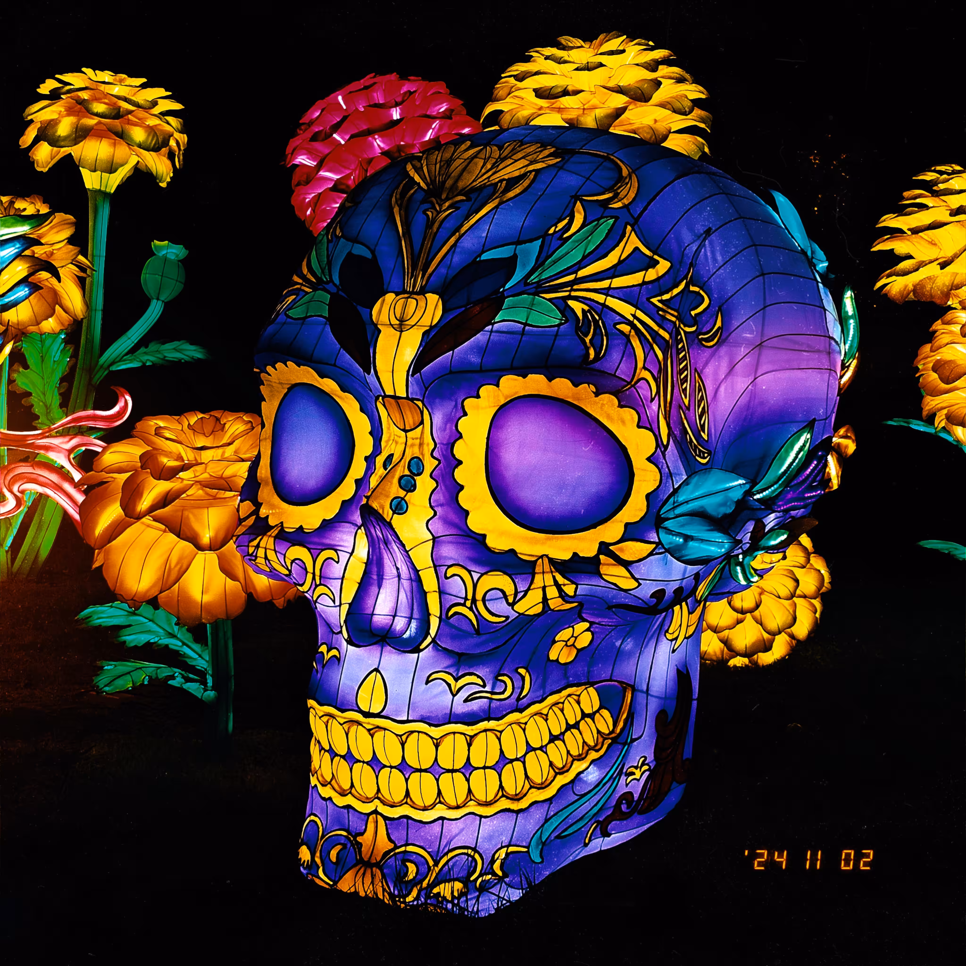 :a Visual Odyssey:: Day 307/365