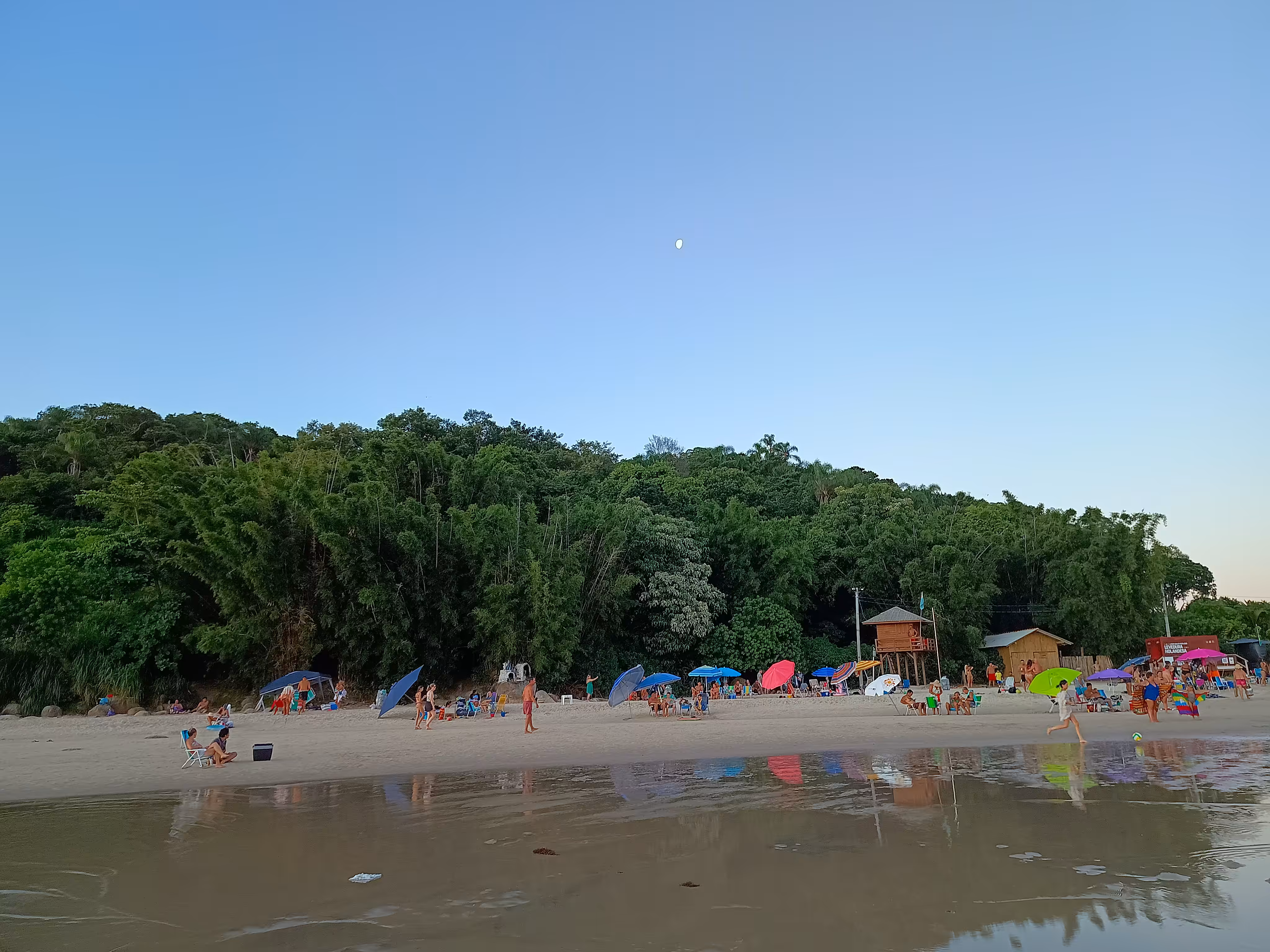 Rodeo posts: Touch the sea