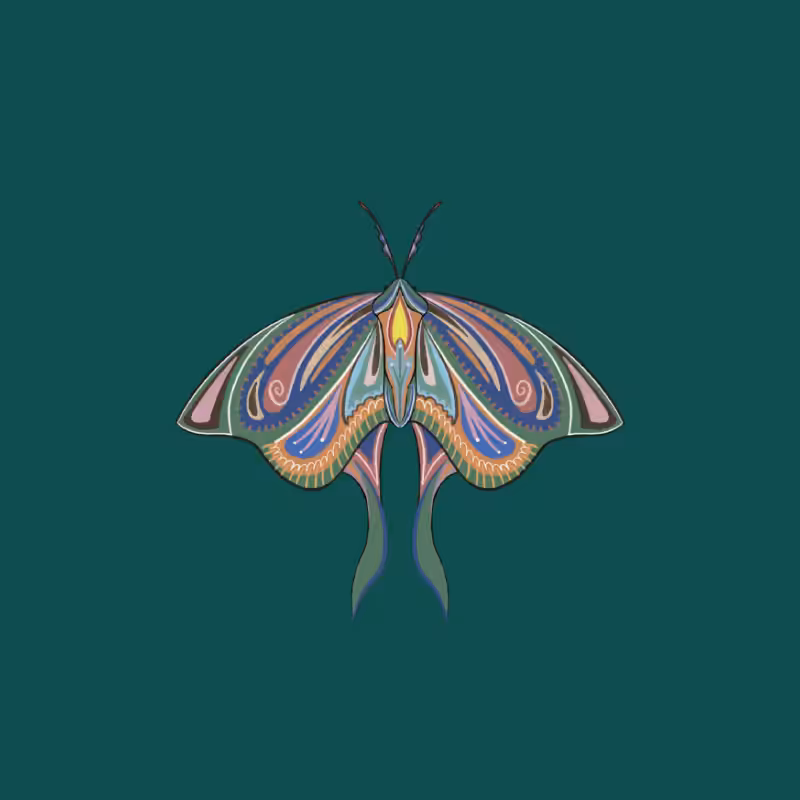 The Moth Experiment 2.0 P1 #30