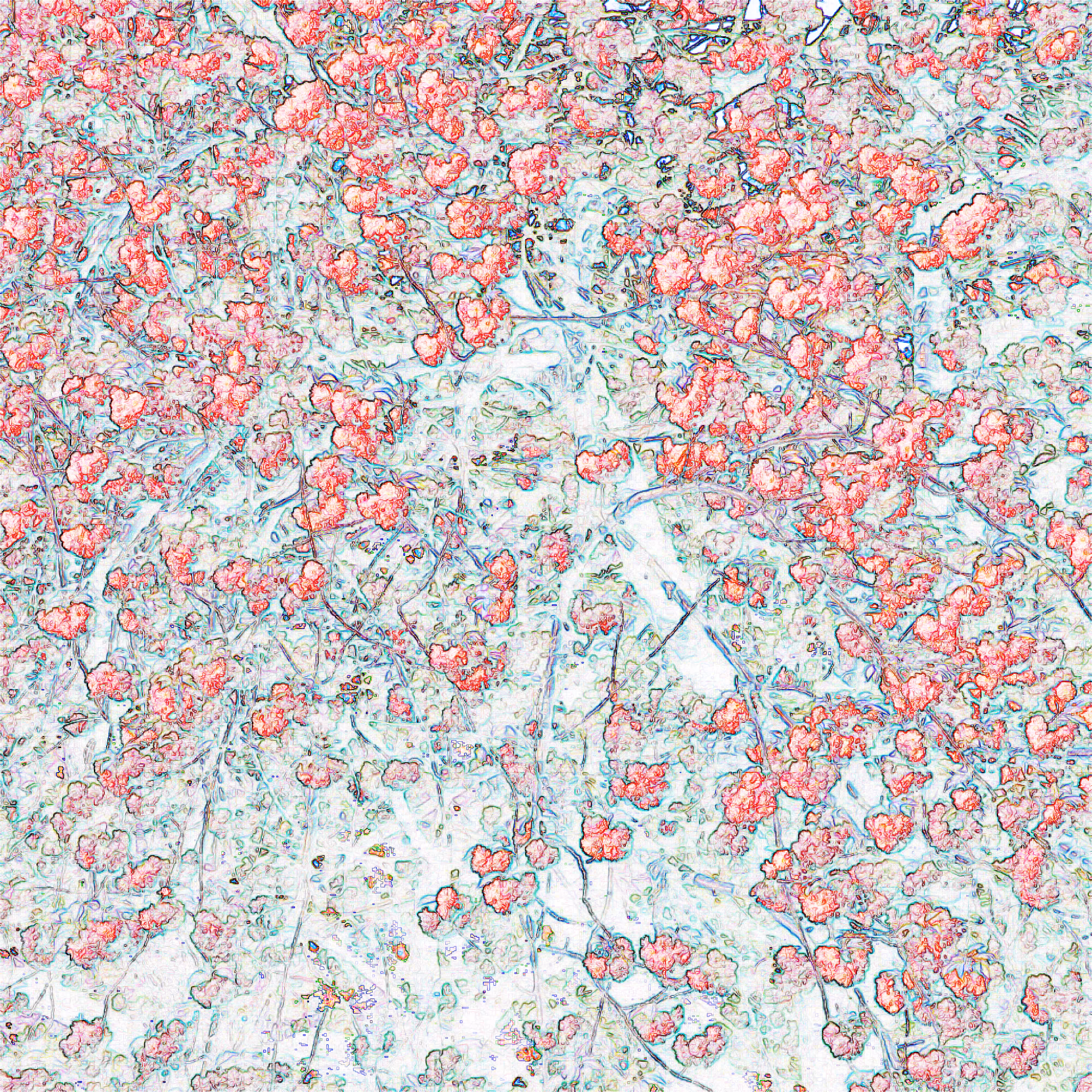 Under the Cherry Tree