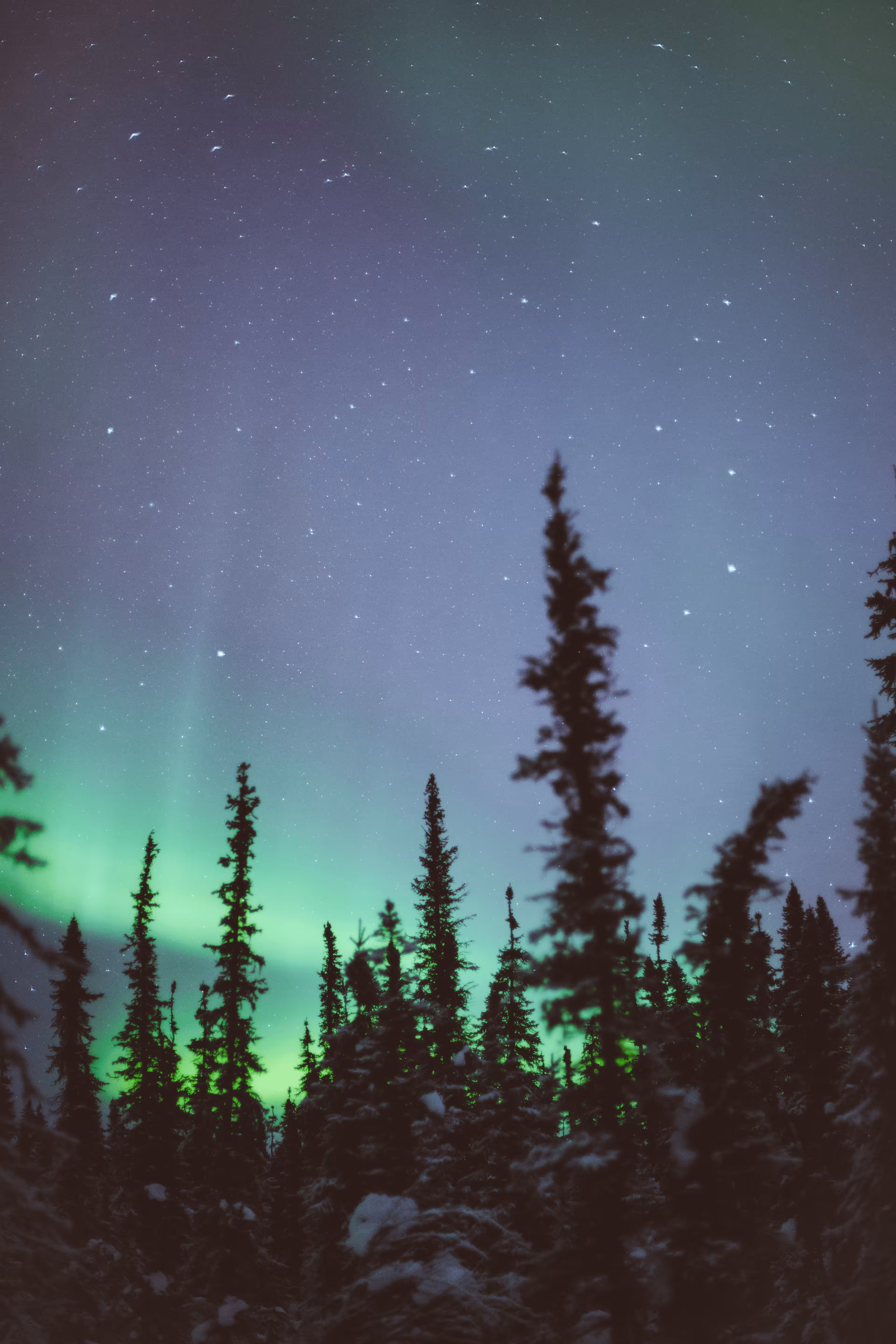 Polaris III