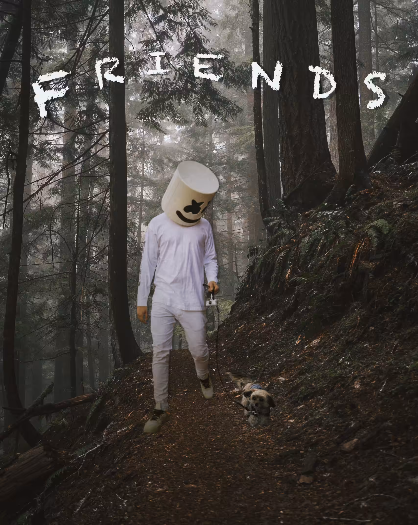 Marshmello & Friend(s)