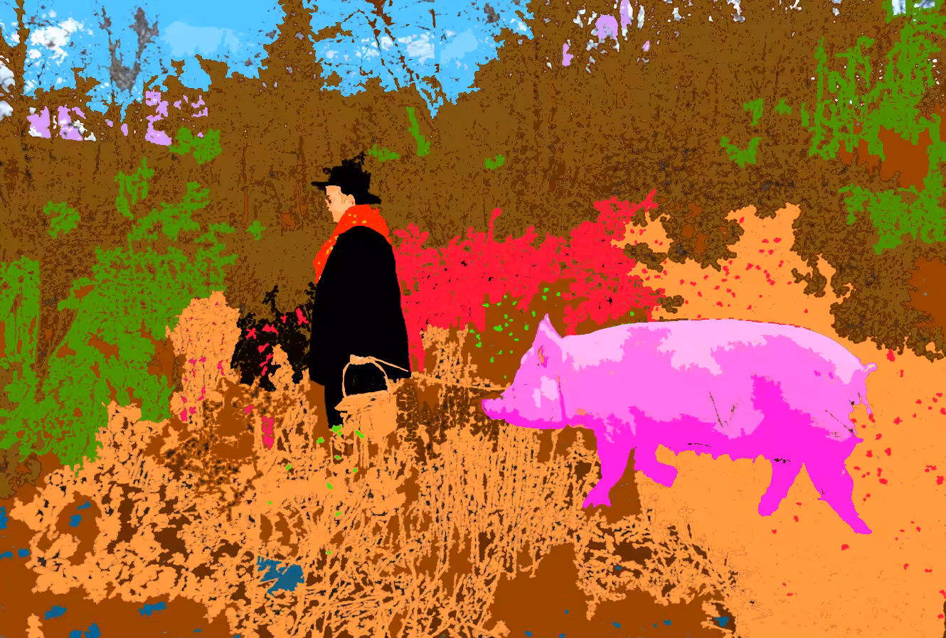 The Journey with the Pig