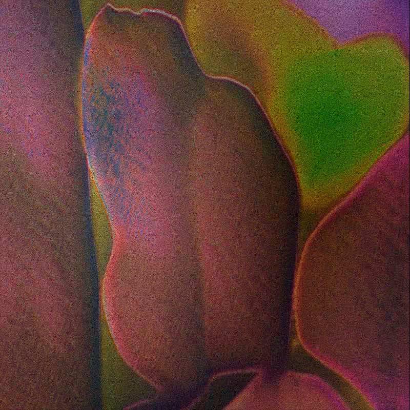CLDCSMC #71