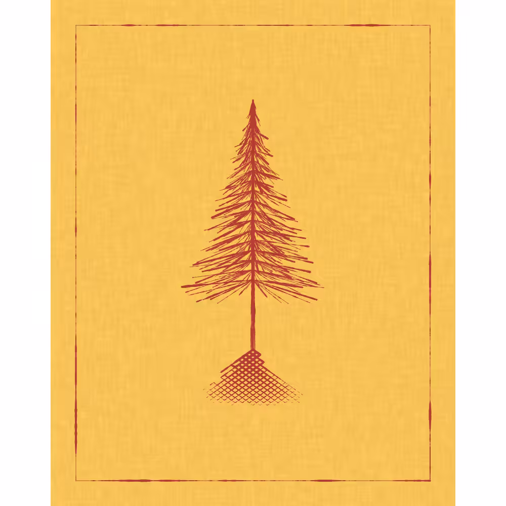 Roots #4