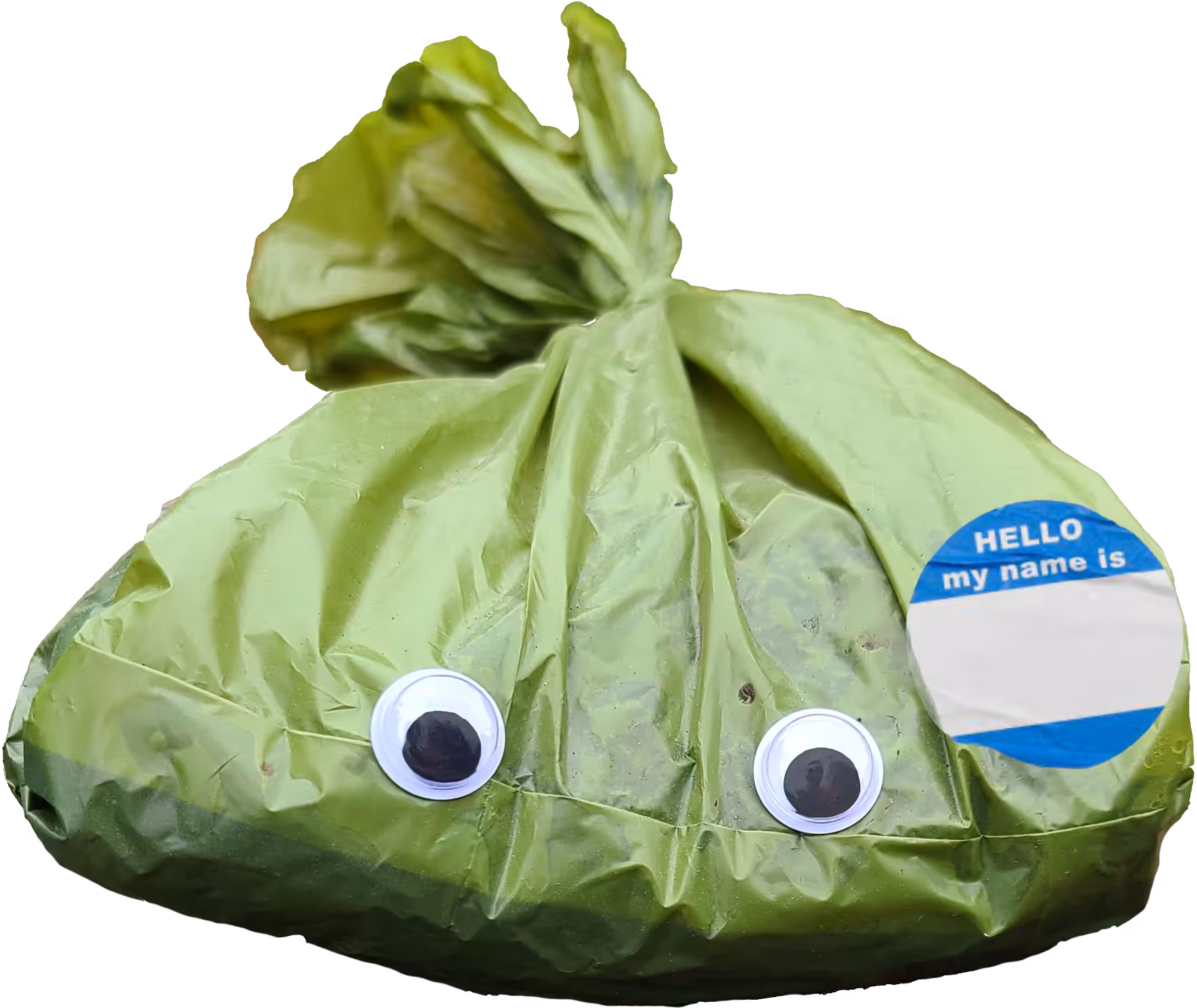 Googly Eyes 021: Olive Poo Bag (customizable)