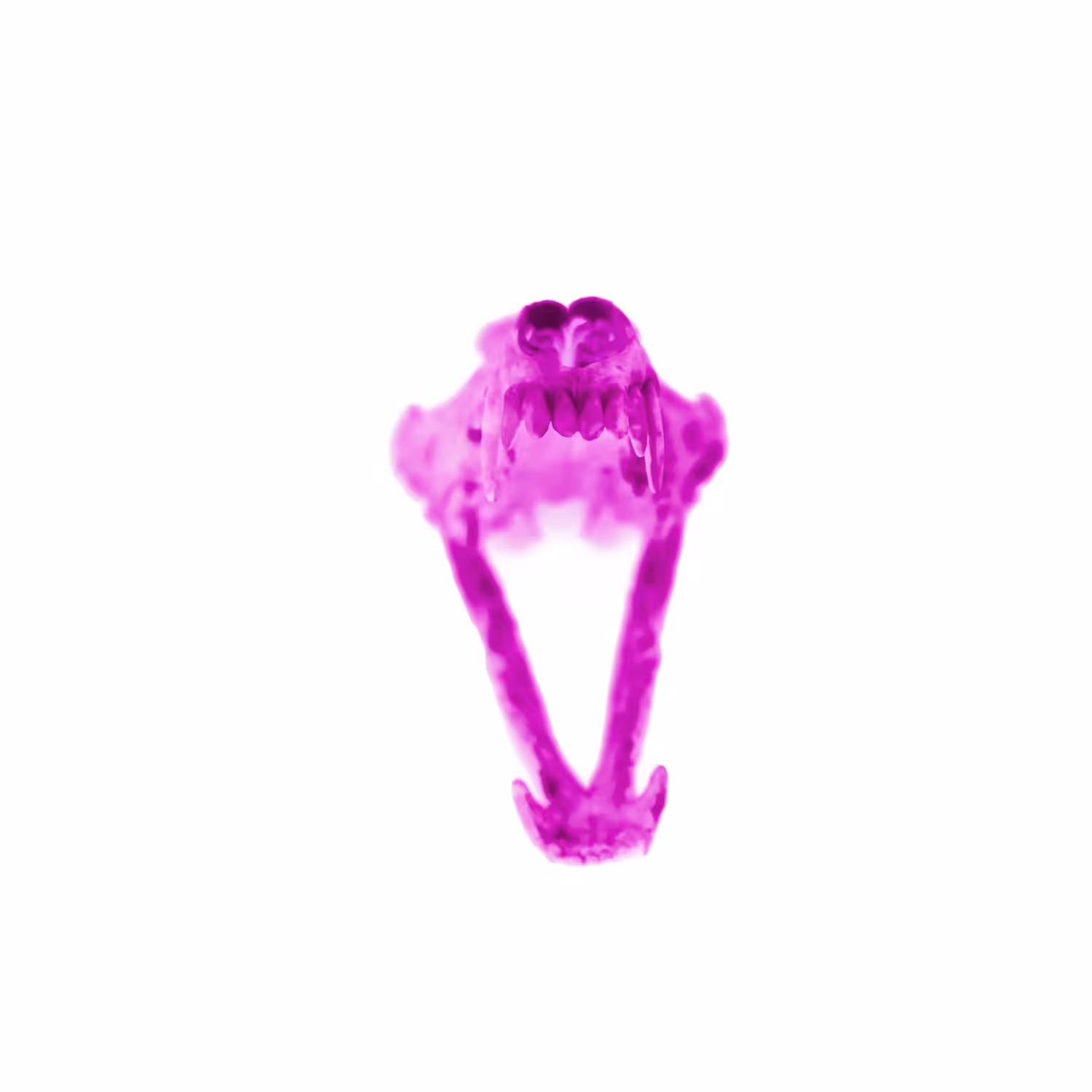 Radioactive Roadkill Pink Gamma (Coyote)