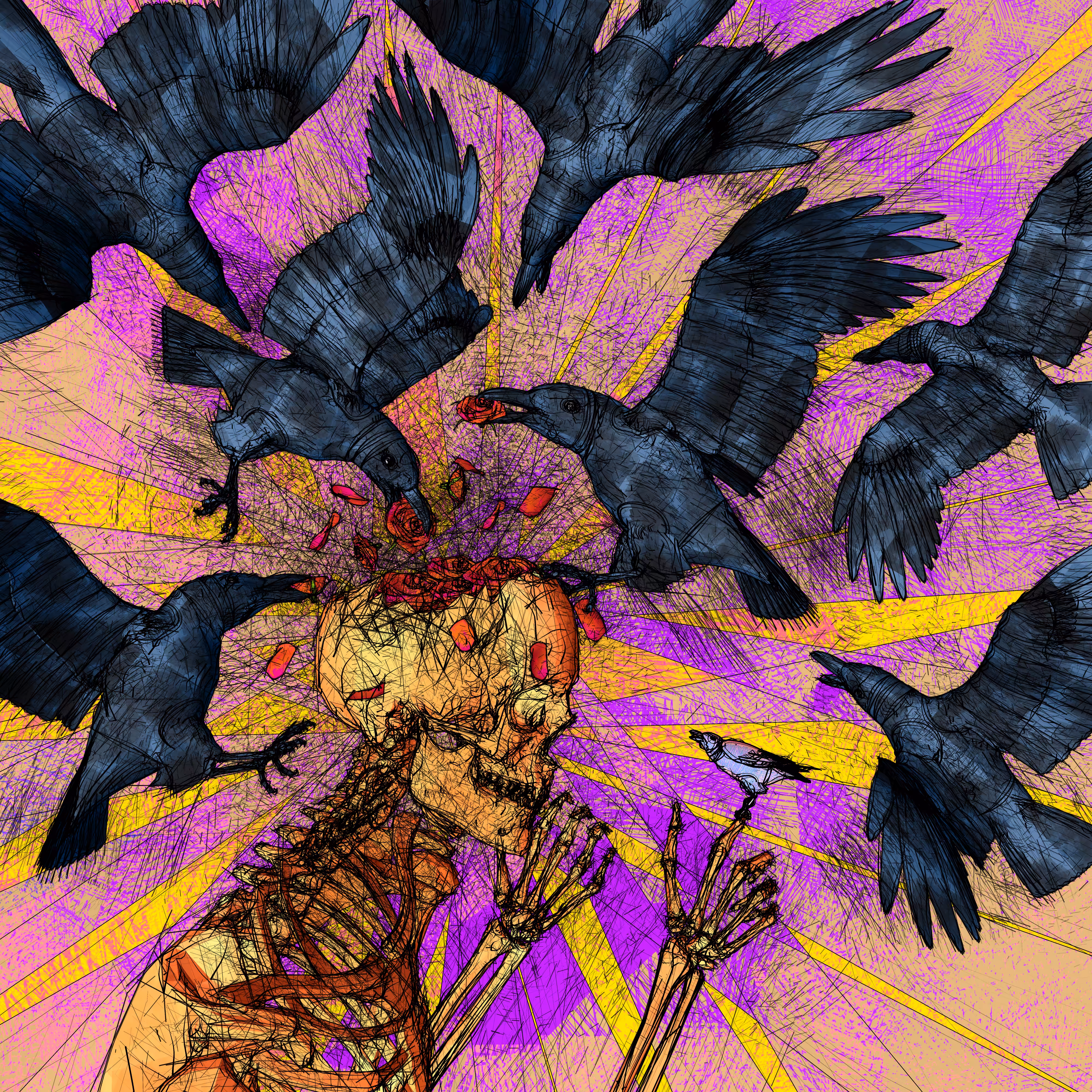 Crows