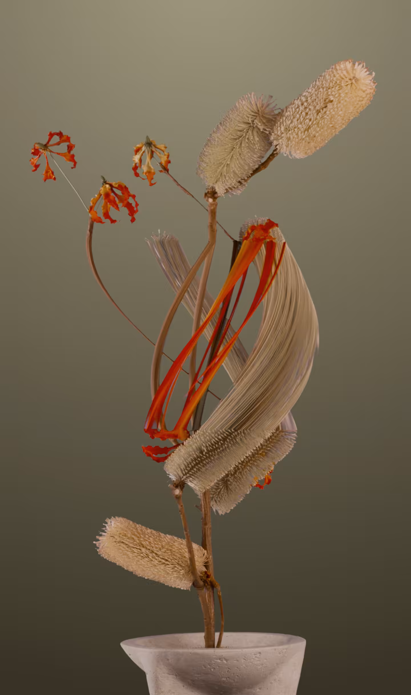 banksia and flame lily, in motion