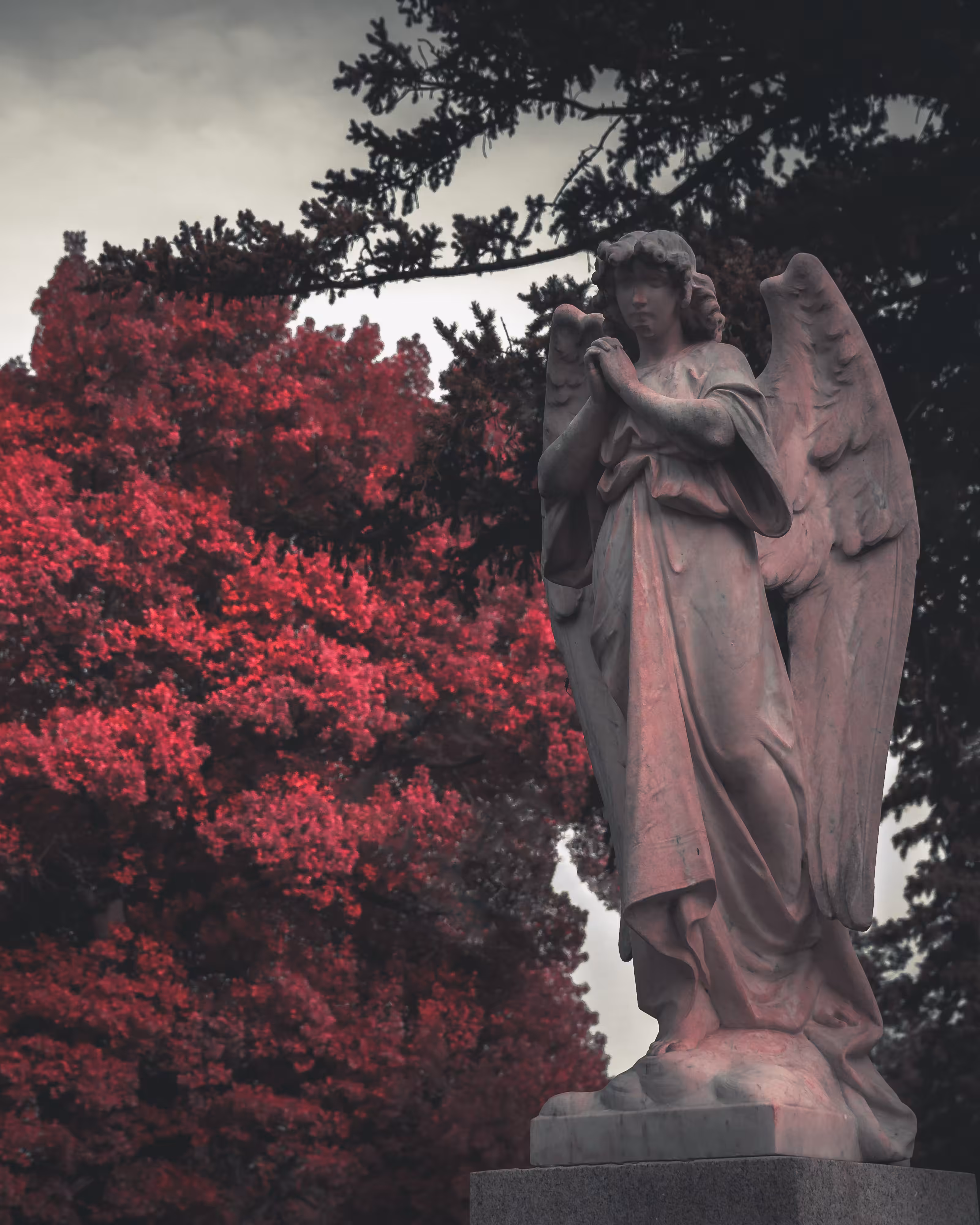 Scarlet Fever