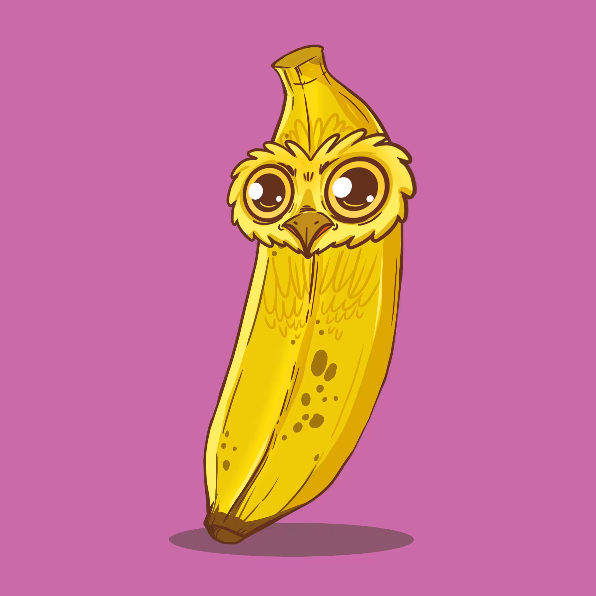 OWL MY FRUITE 10