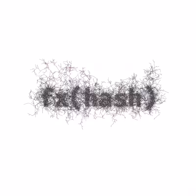 FXHASH Logo with Features #45