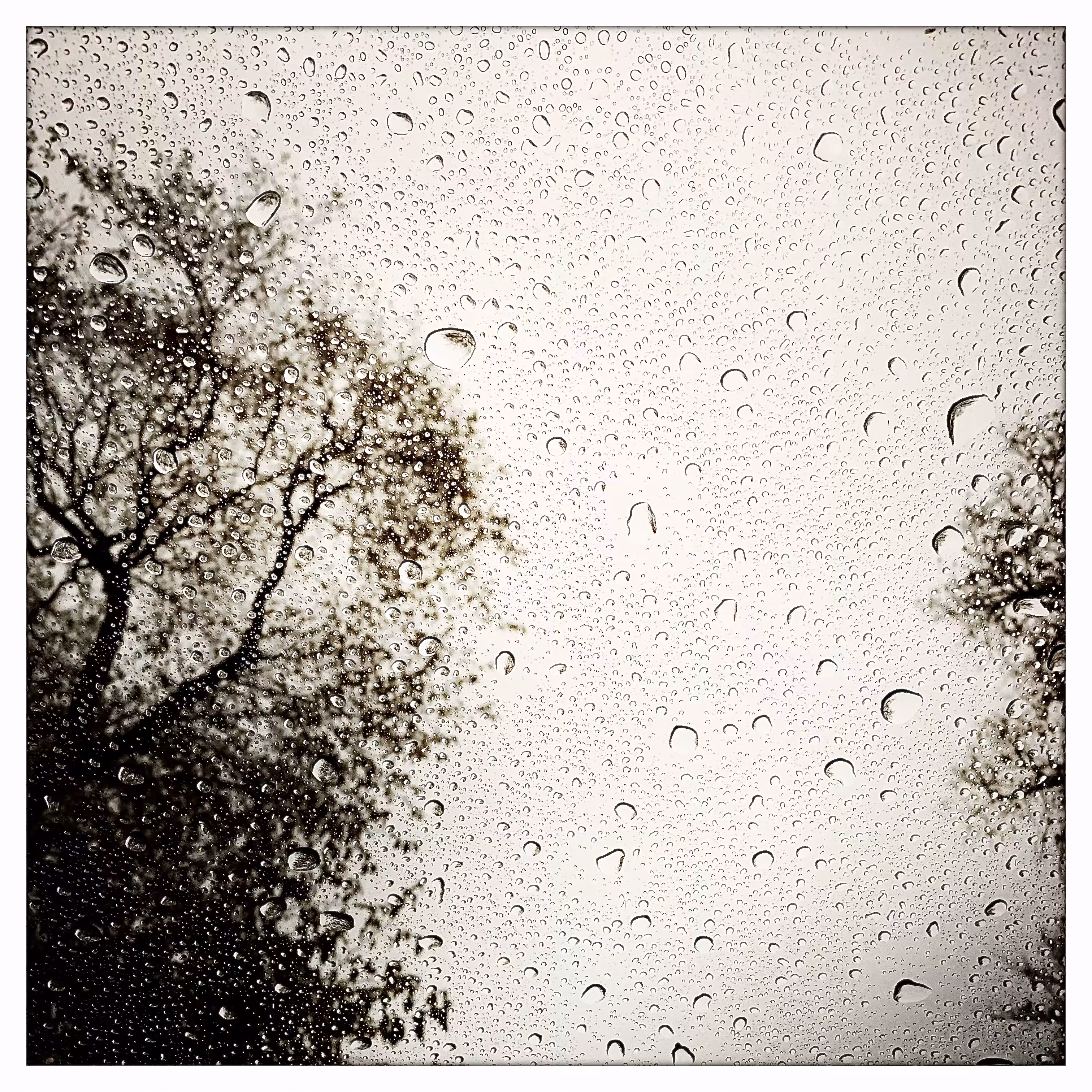 Drops #3