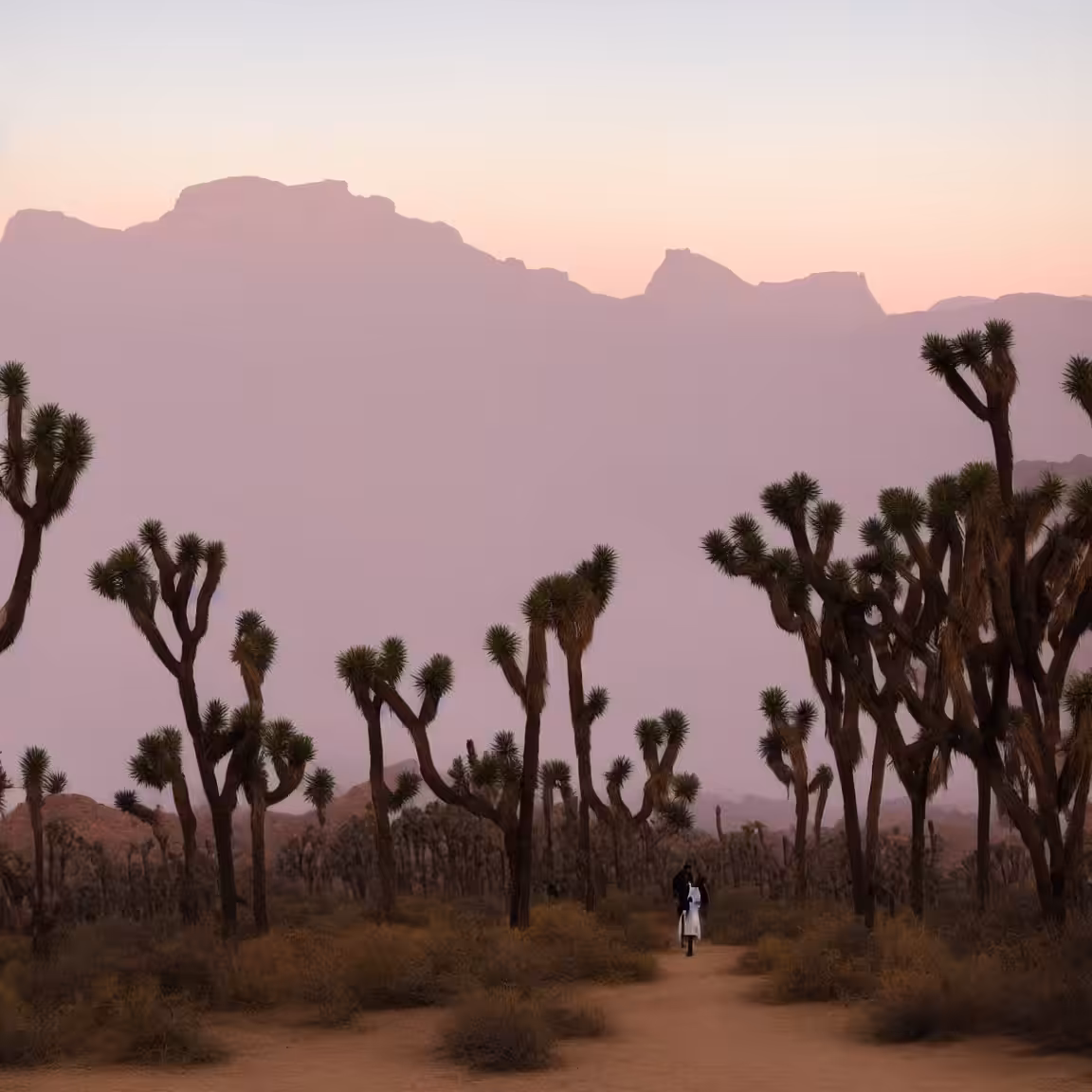 Desert Pilgrimage #21