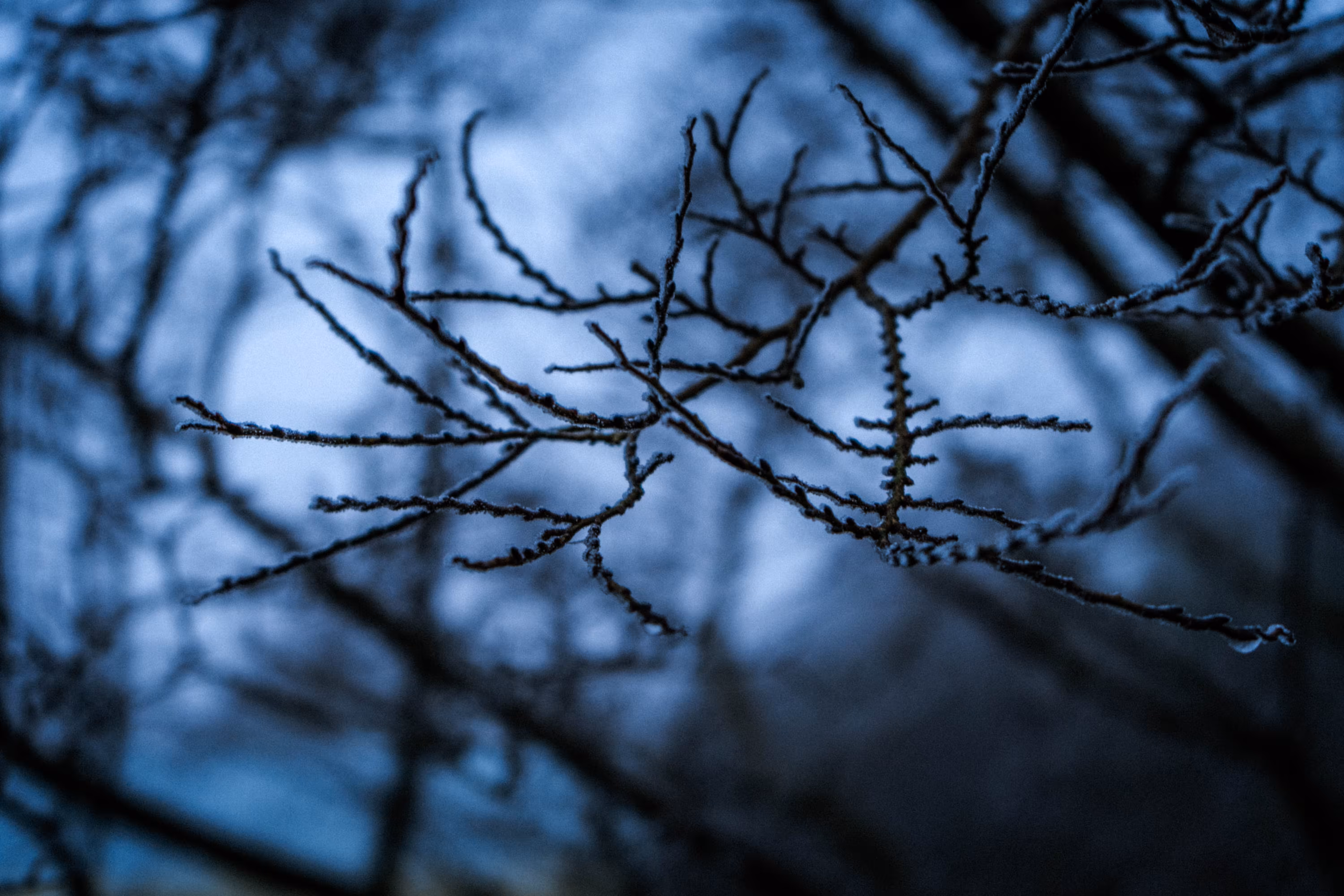 Distorted silence