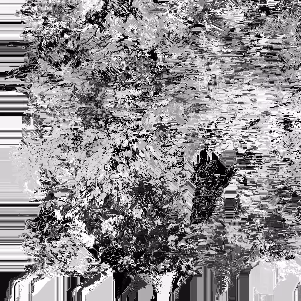 HIDDEN IN NOISE: Noise #45 