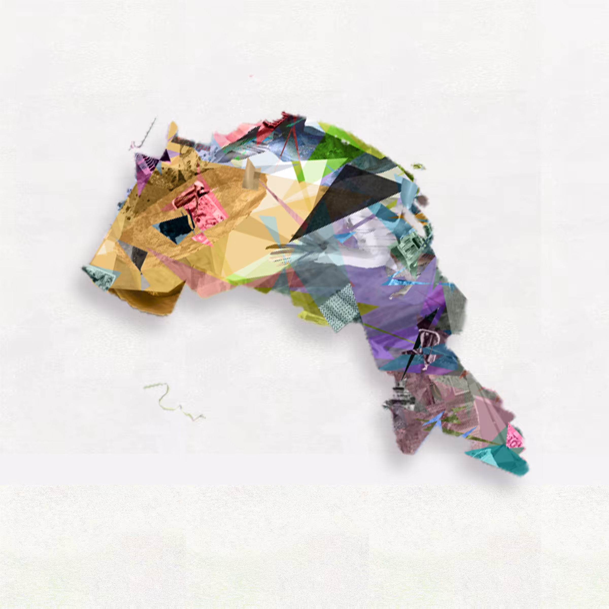 #14 Fish