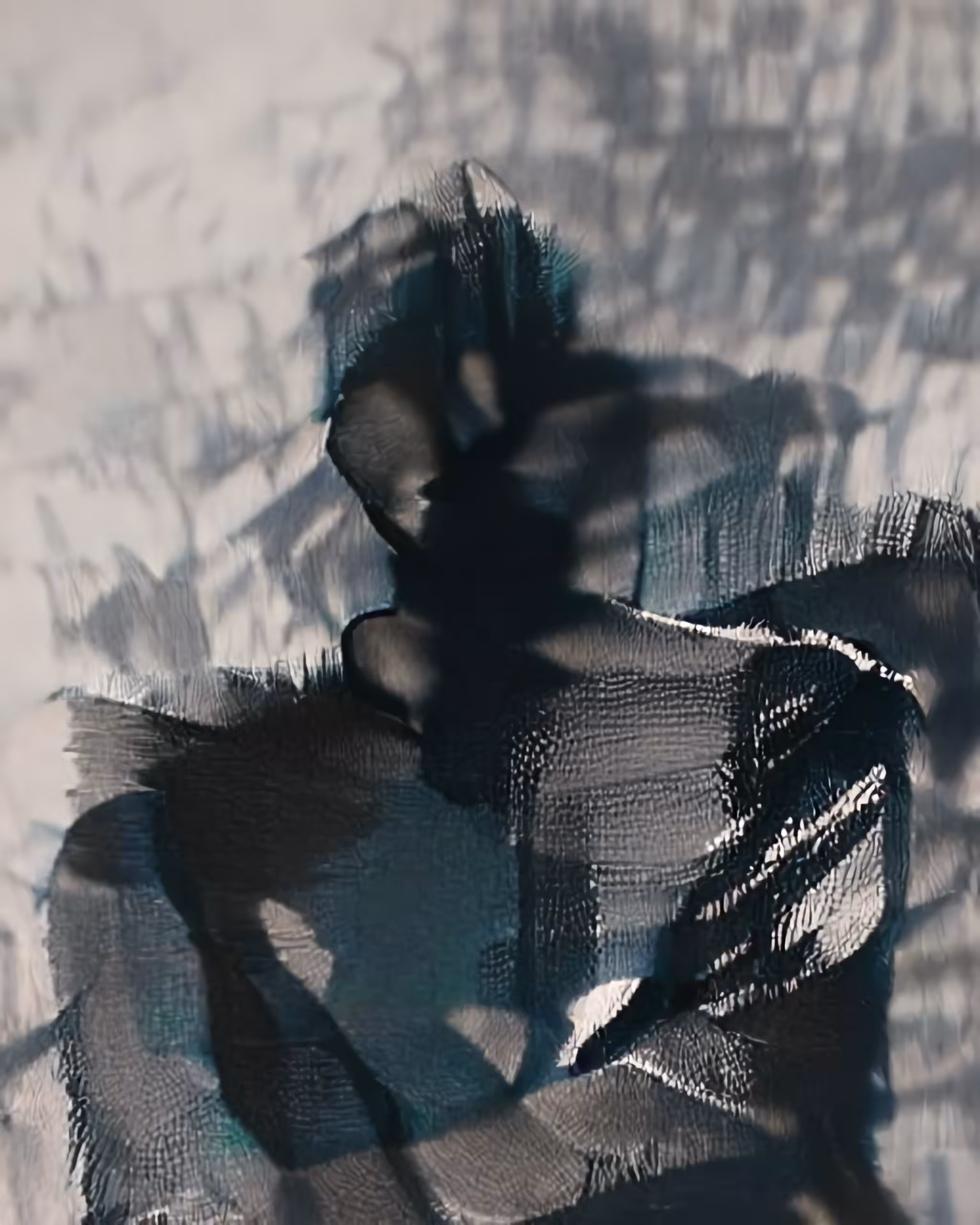THE SHADOW