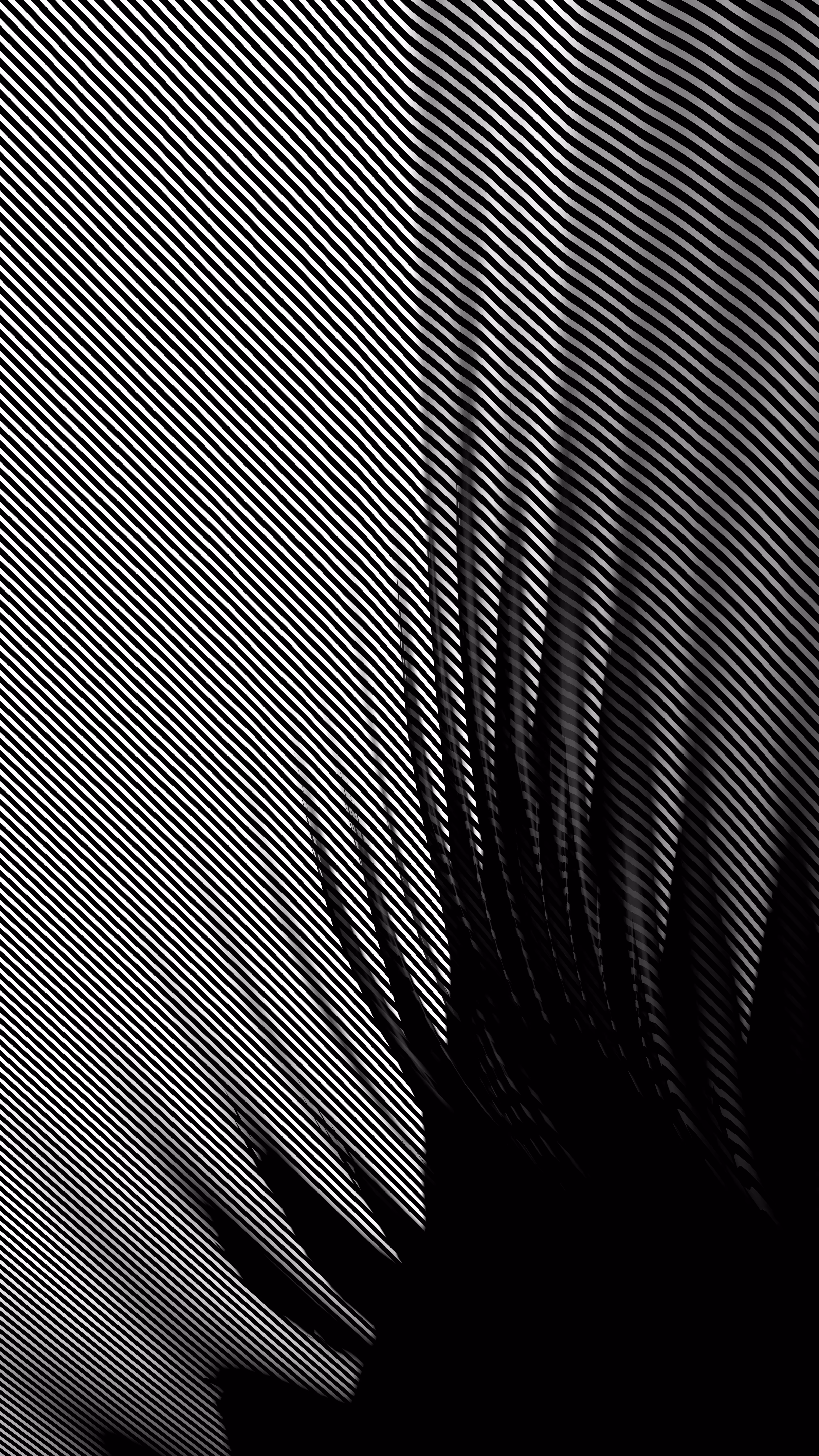 Lines, Non-landscapes 08-03