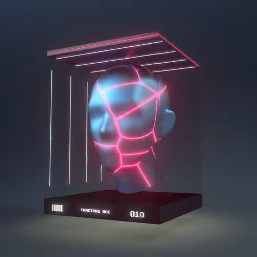 Fracture Boi: FRACTURE BOI - 010