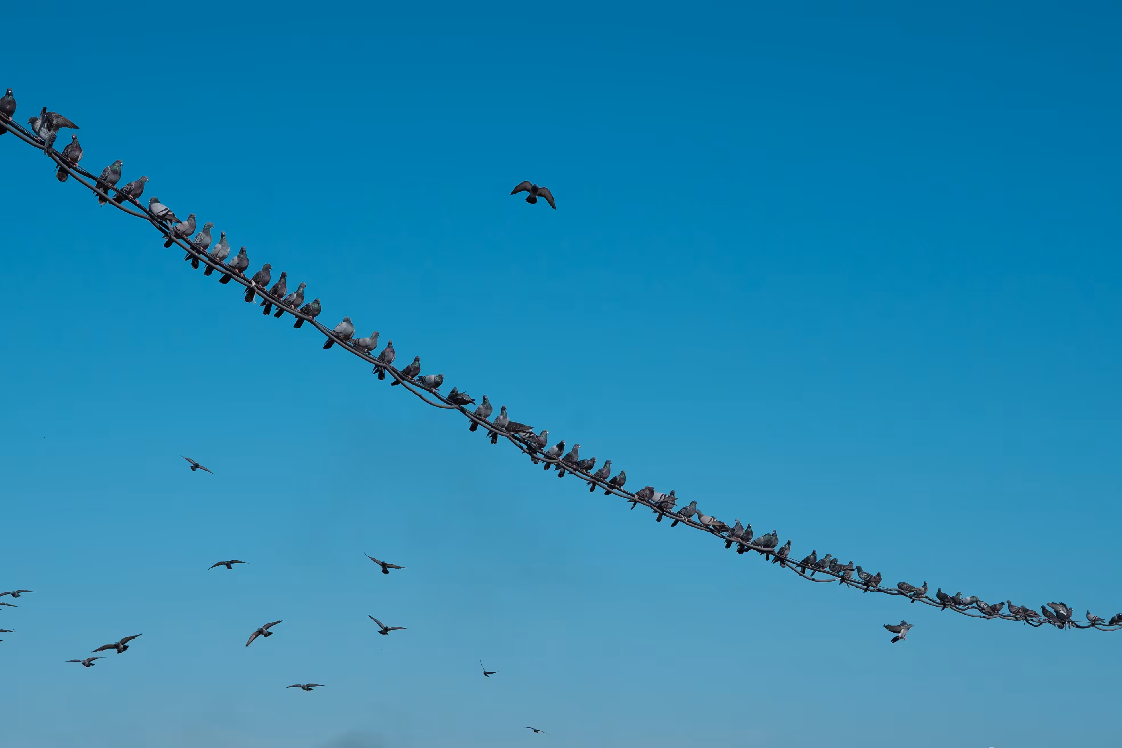 Get up and fly with me