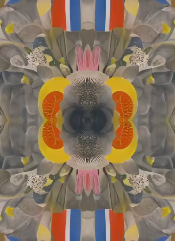 Mirror Matter #1