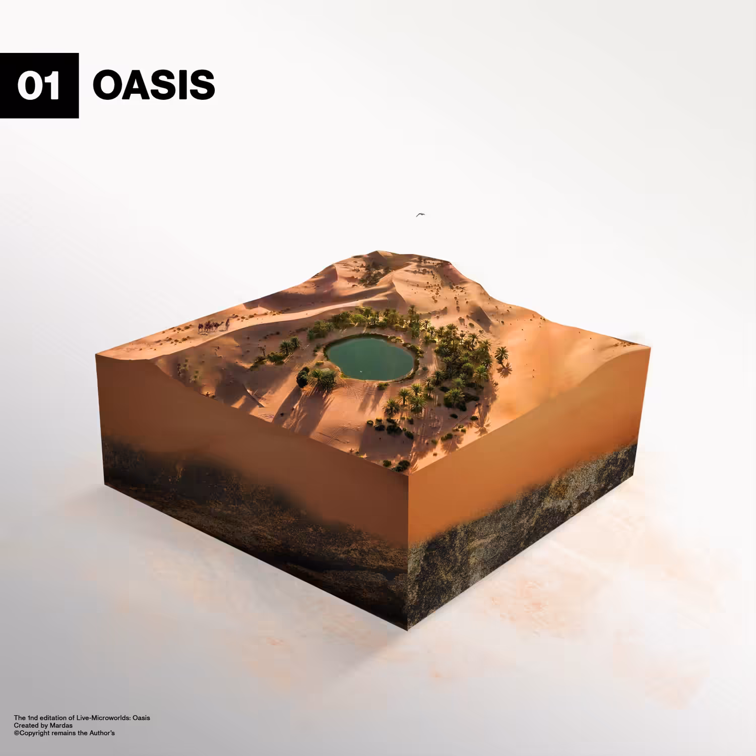 01 - OASIS
