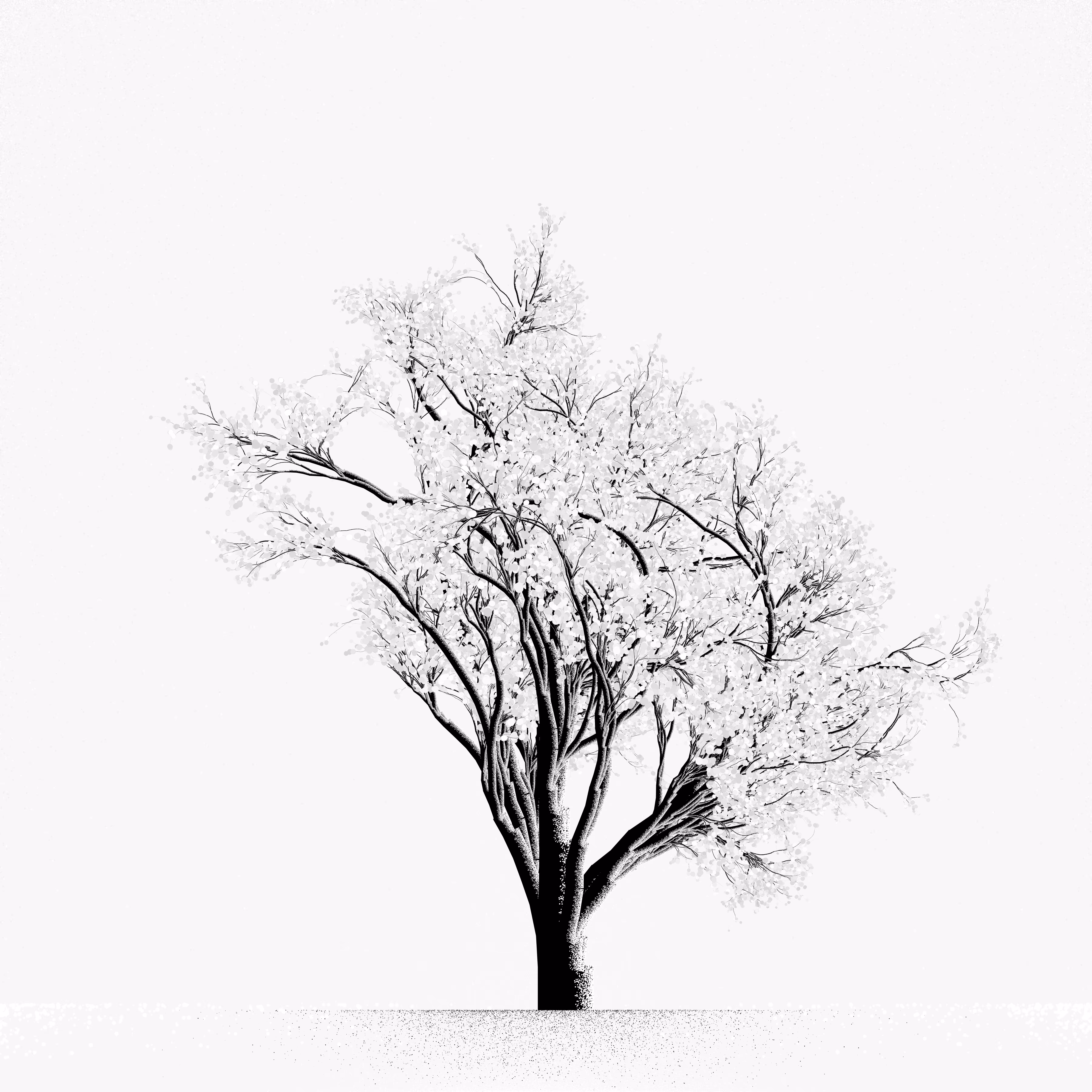 Snow Tree #31