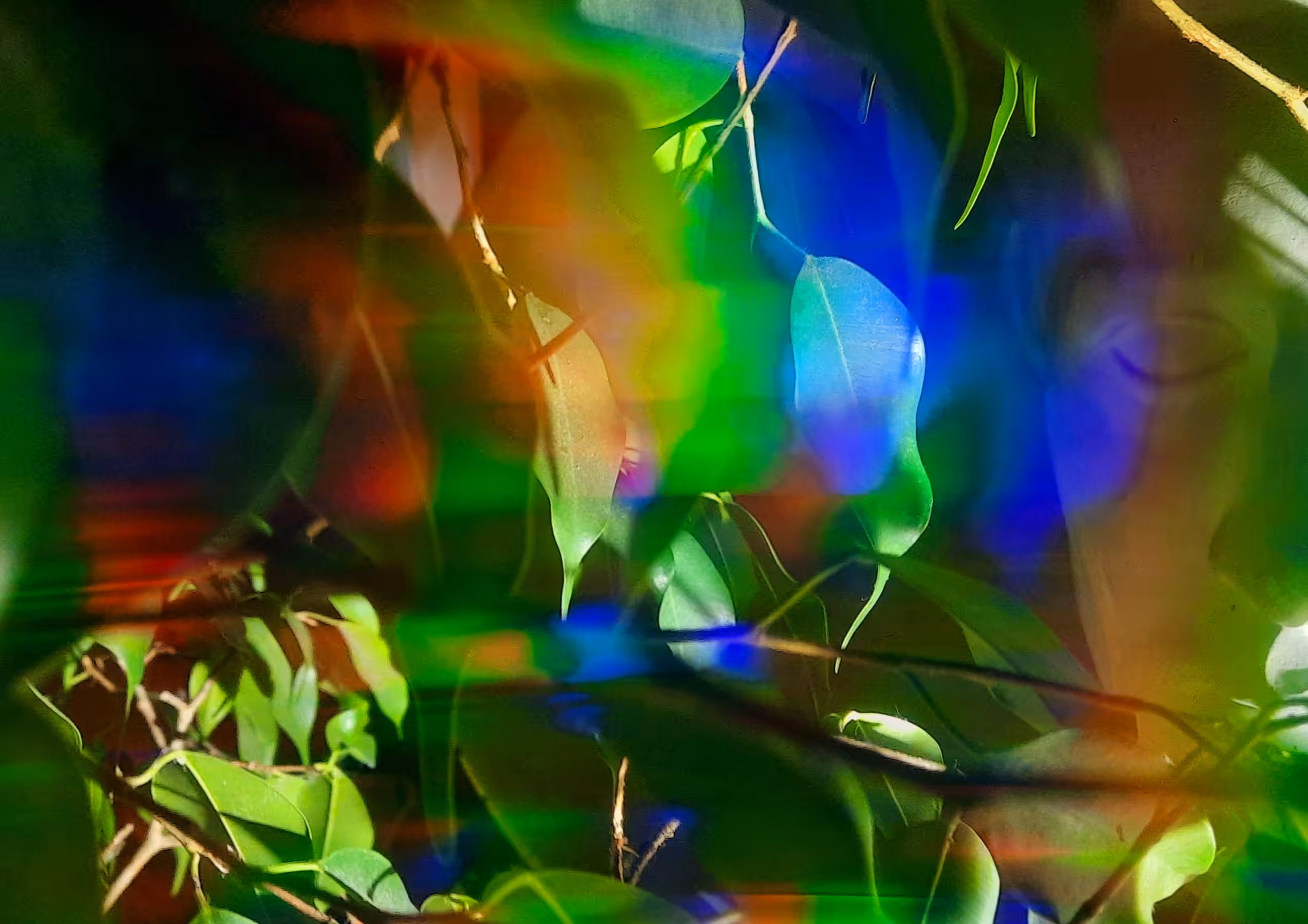 Spectral garden II
