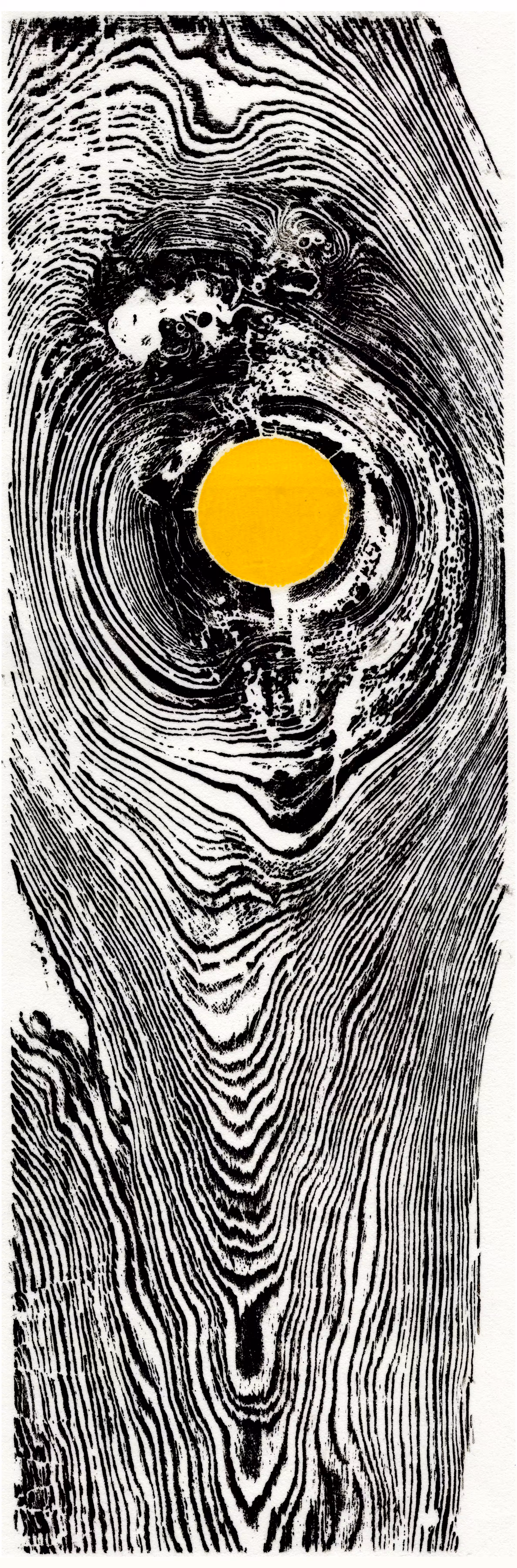 -- SOL --