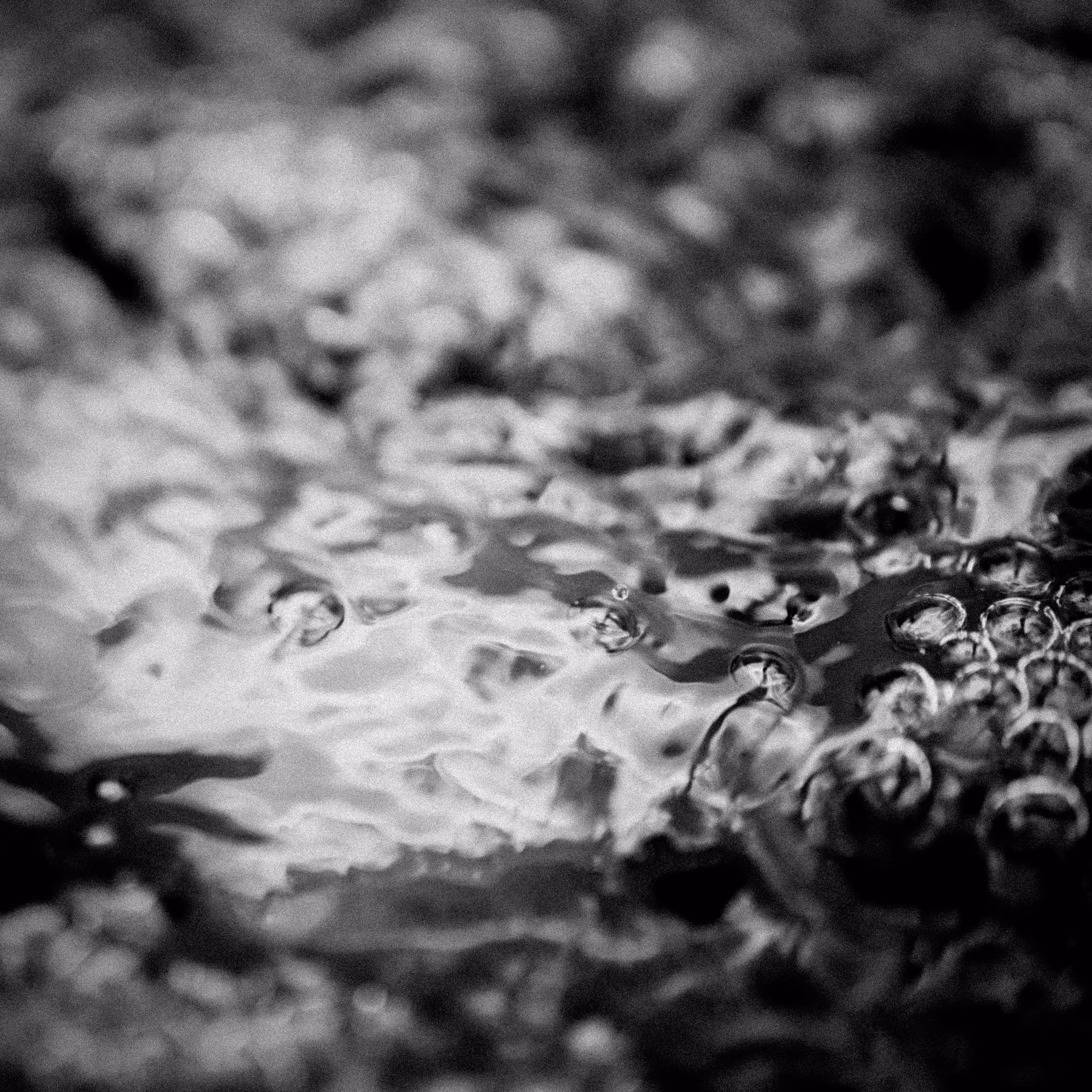 refractive index 04