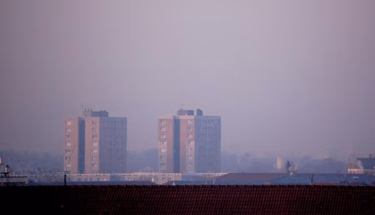 urban land #1. luluxxx