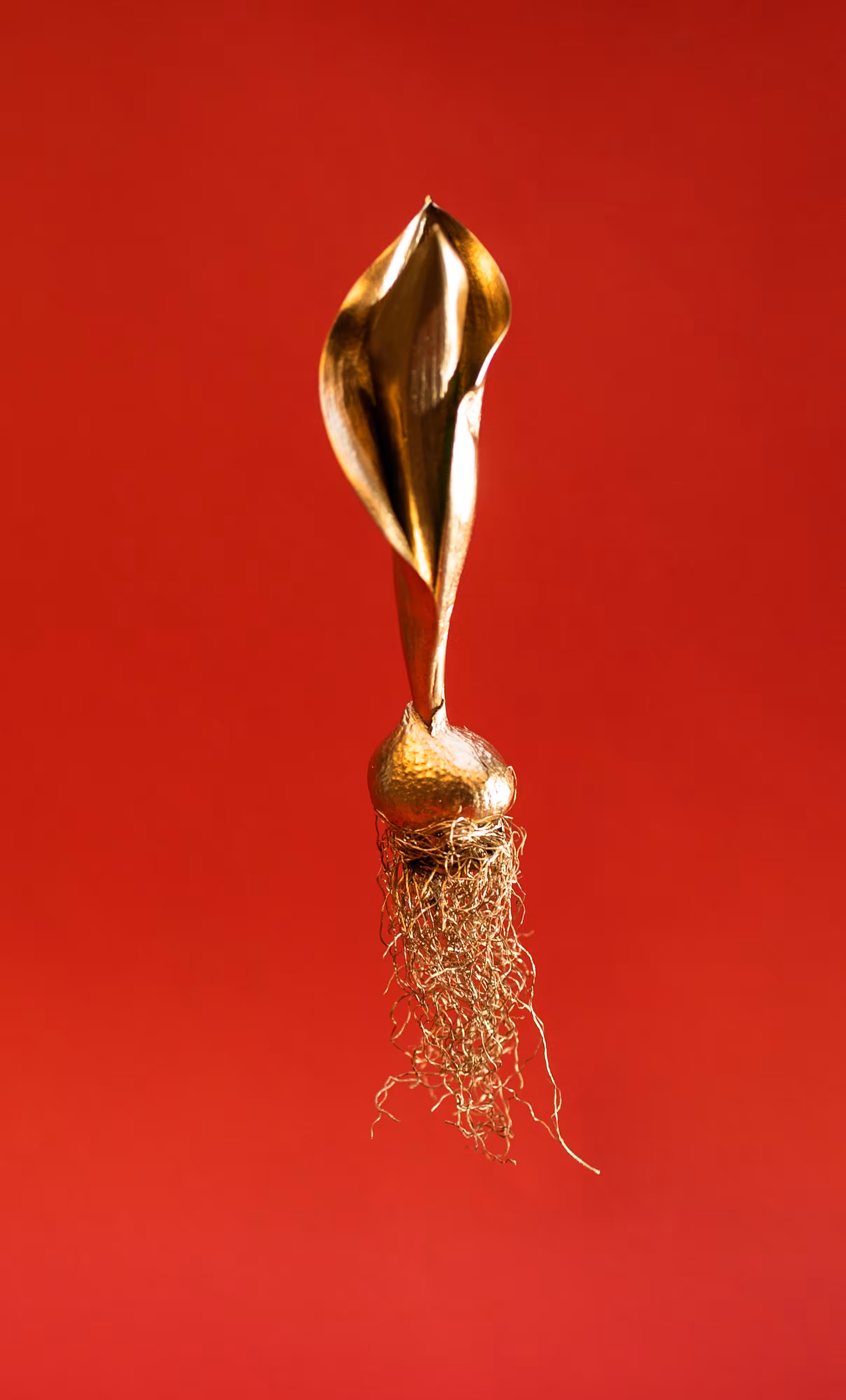 Crypto Tulip - #red1