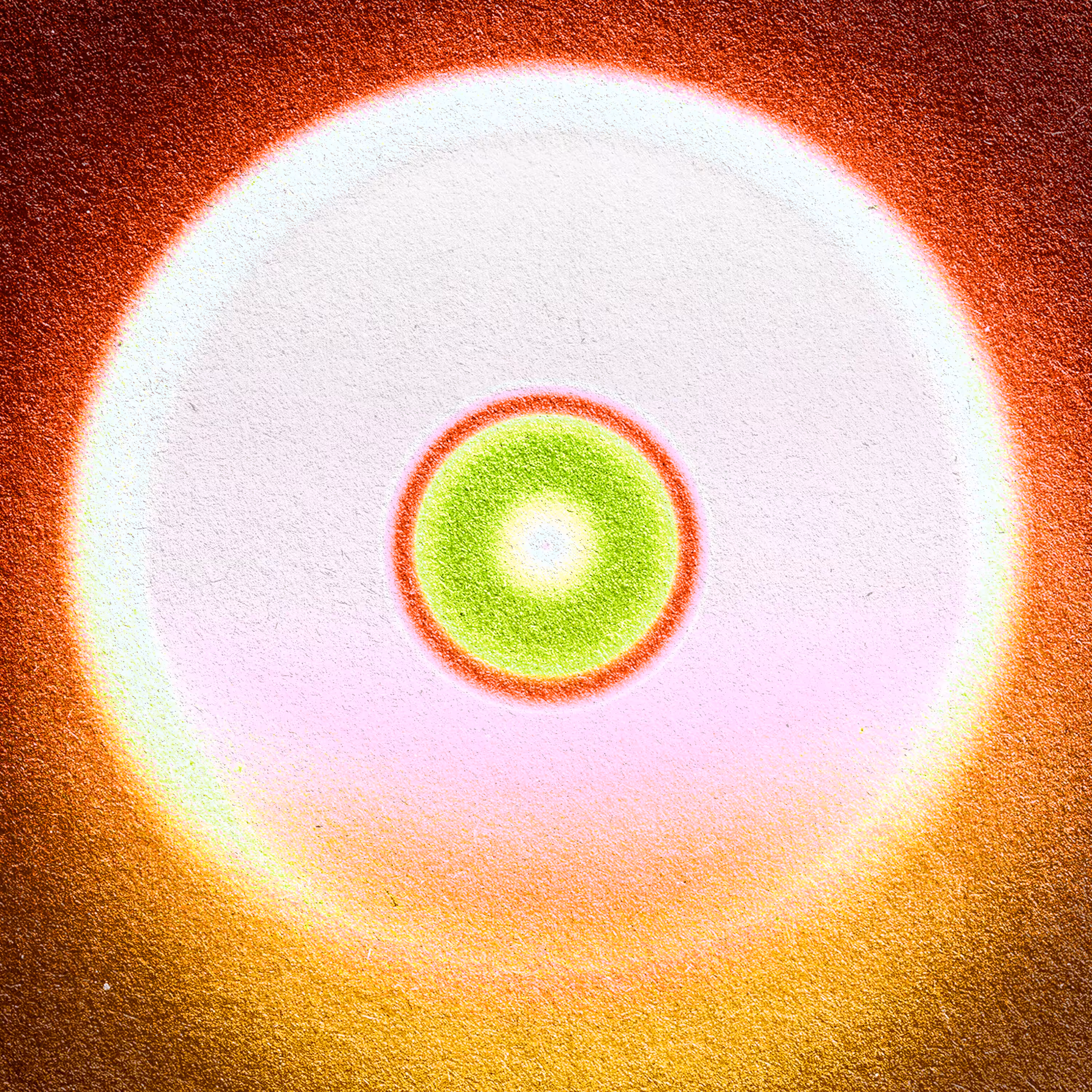 SPECTRUM 124
