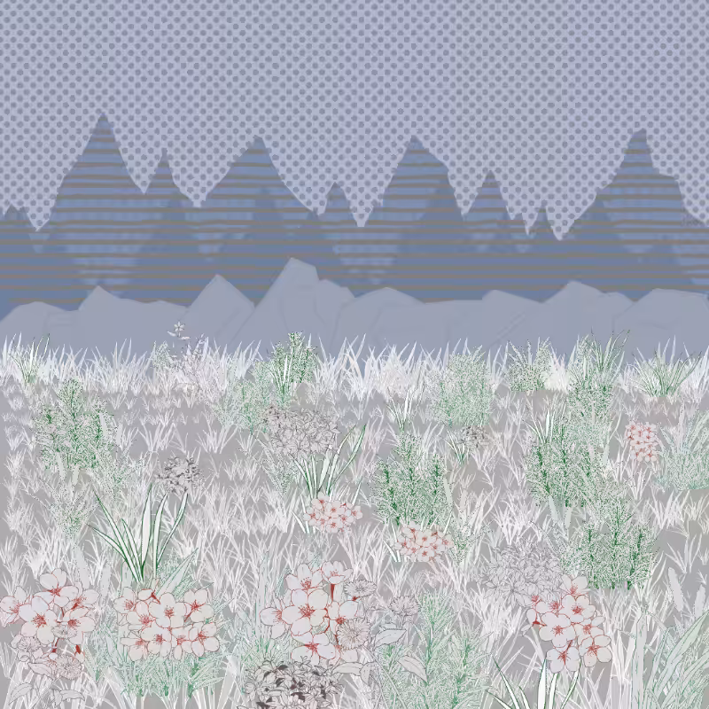 Mountain Meadows #33