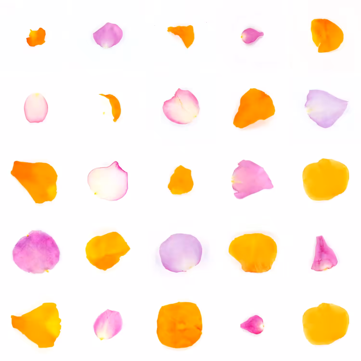Infinite Petals 5x5#1958