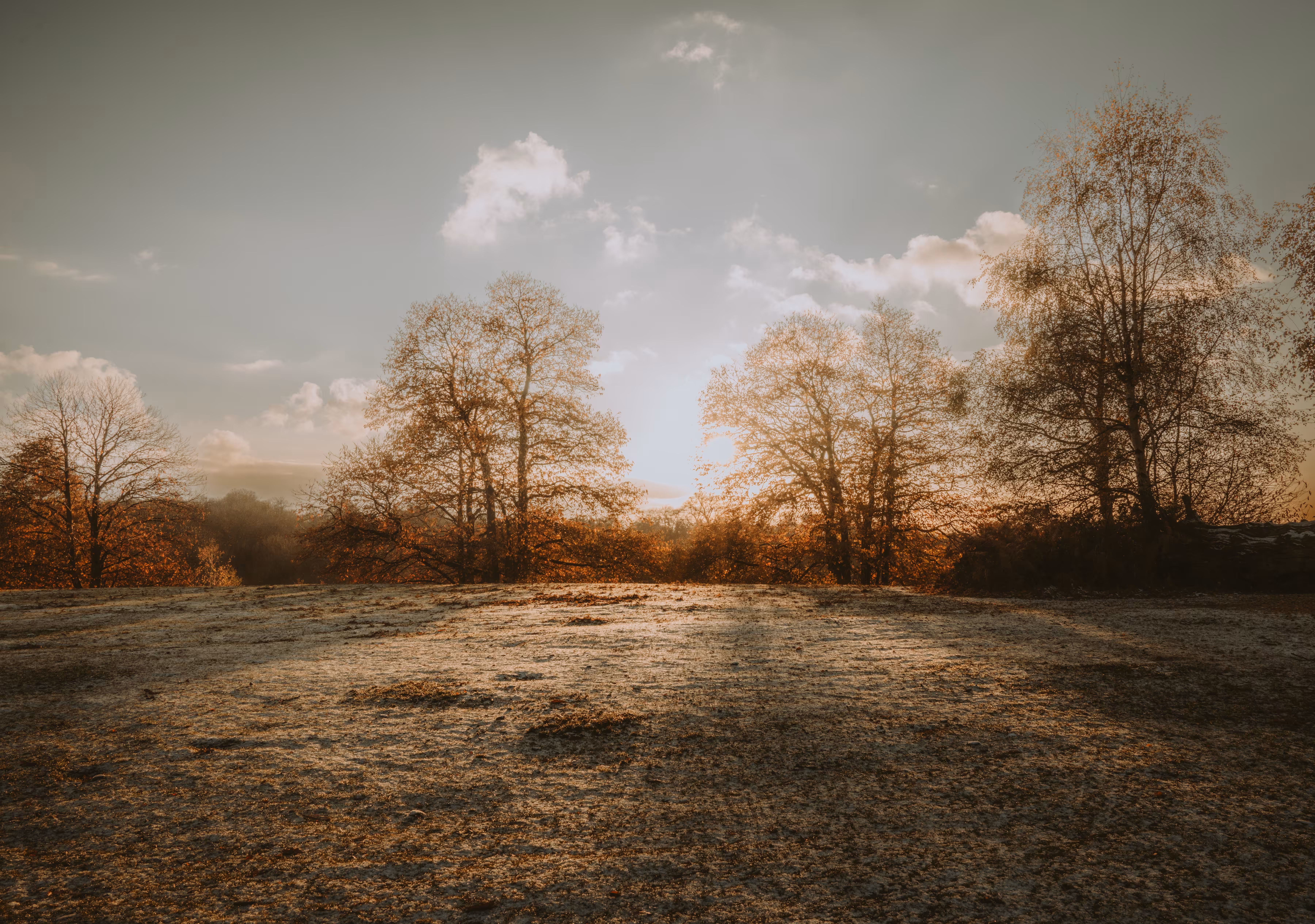 light over the hill 