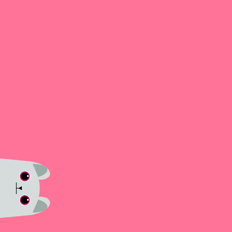 Where is the cat? #26