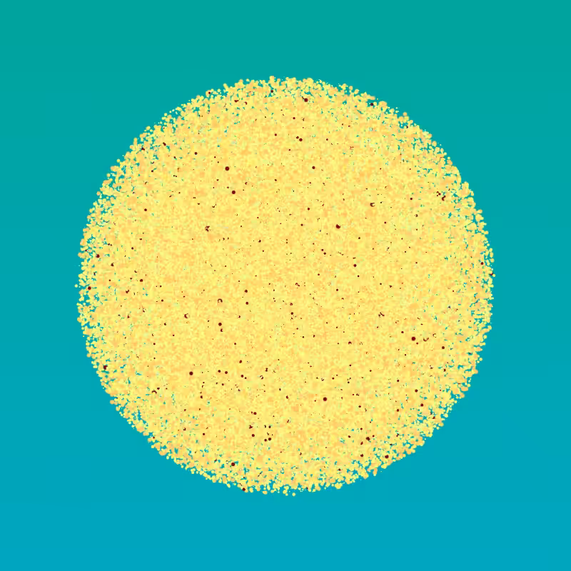 Coalesce #153