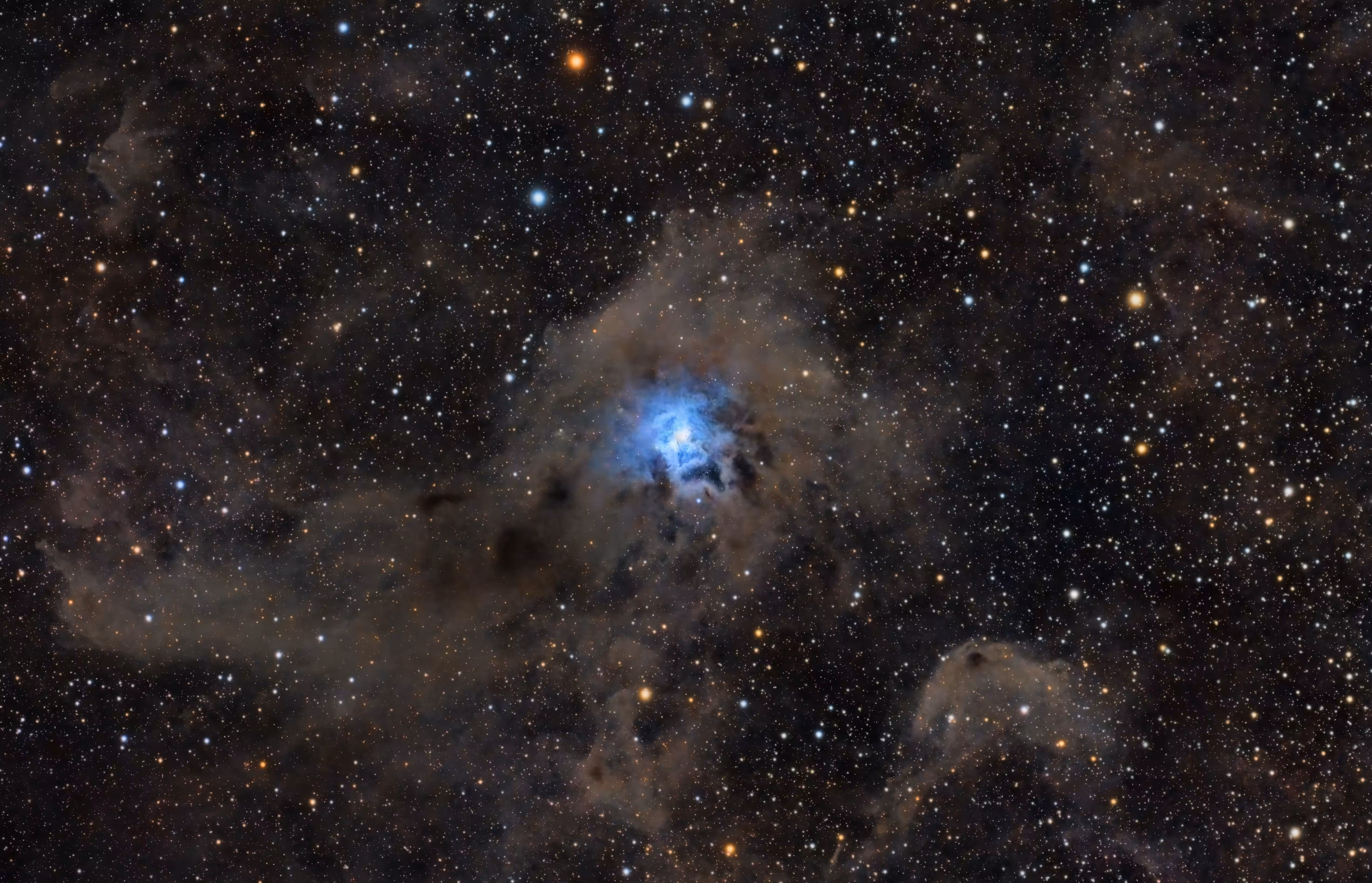 Iris Nebula