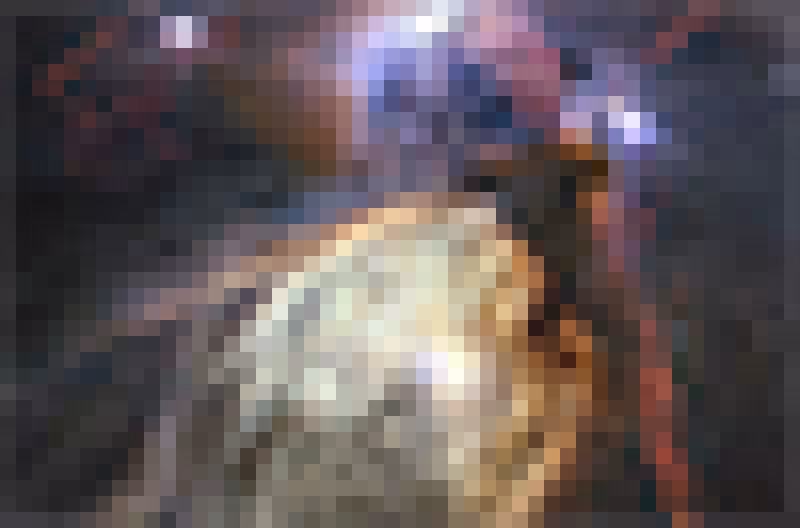 Webb Space Telescope reveals 