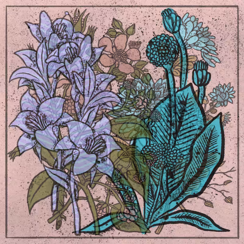 Bouquet #85