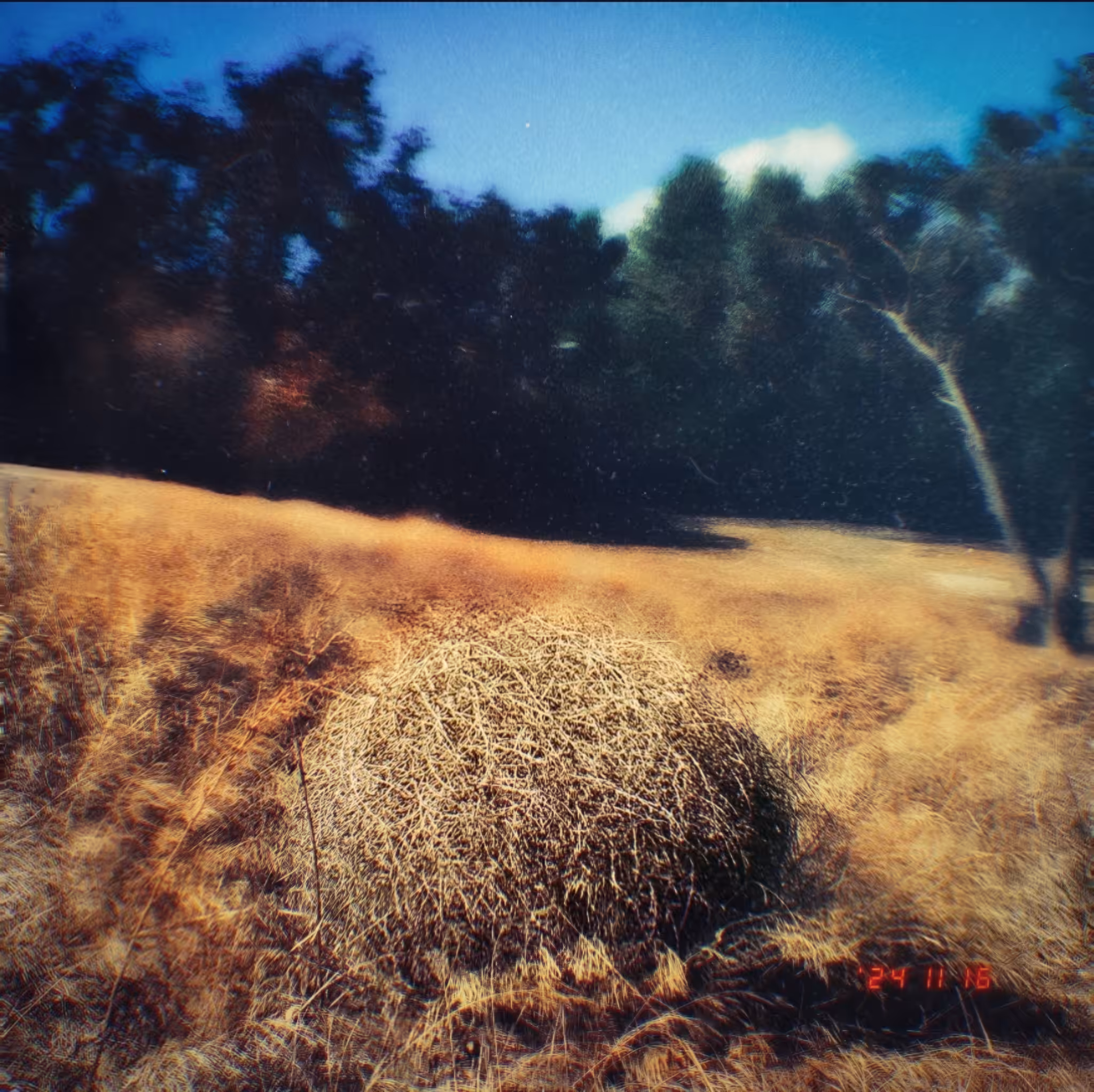 :a Visual Odyssey:: Day 321/365 
