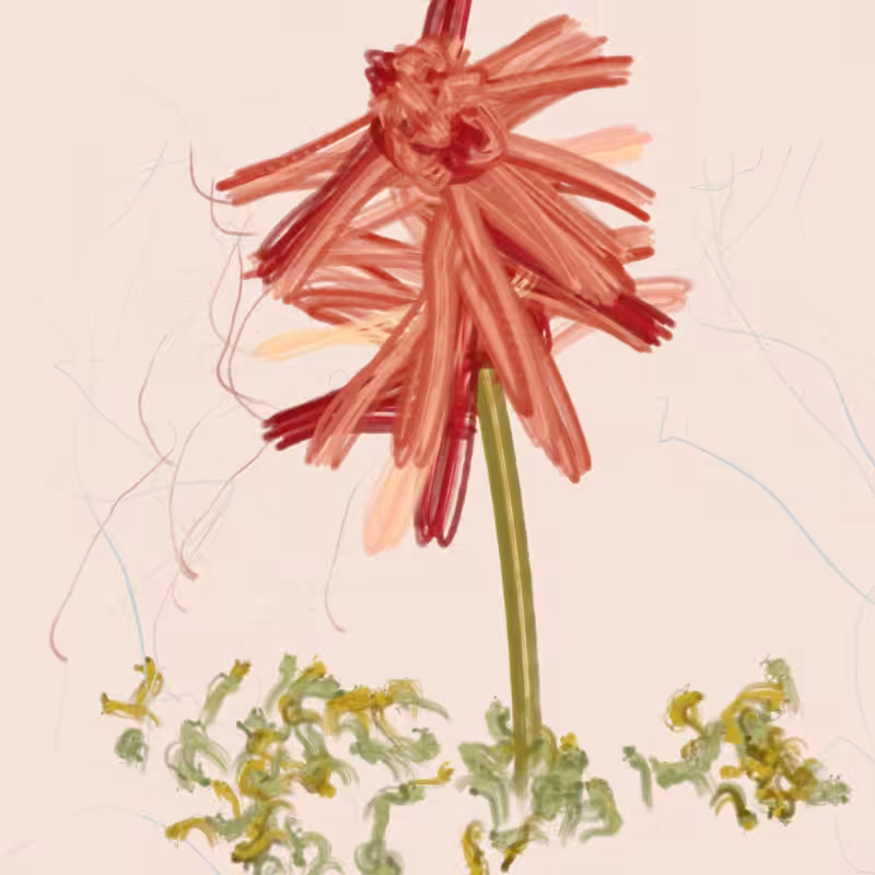 The Likeness of a Flower #19