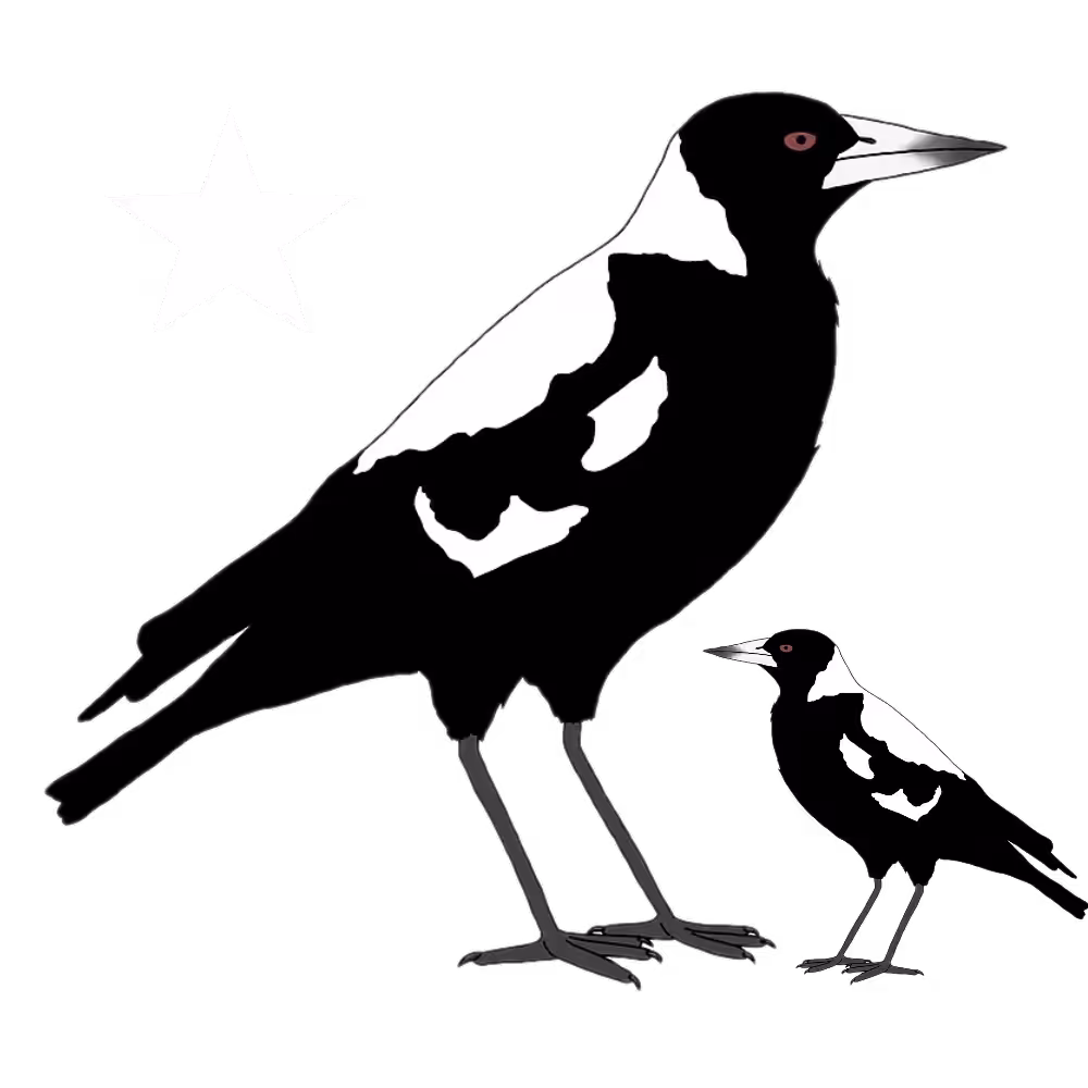 <Magpie Army>