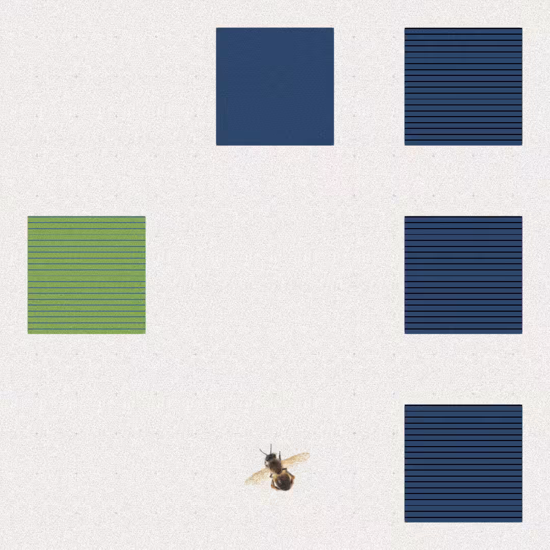 Bee #57
