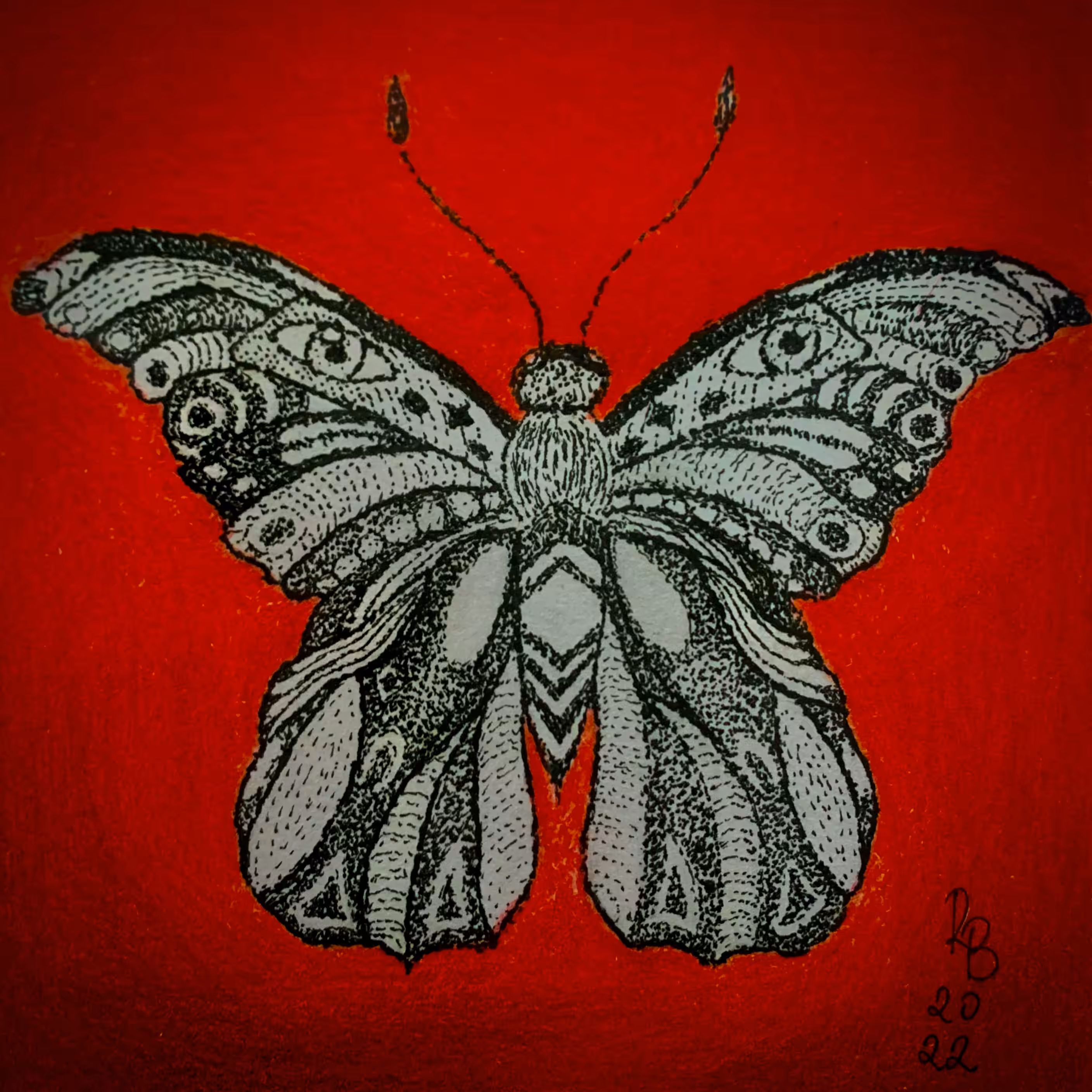 Butterfly #1