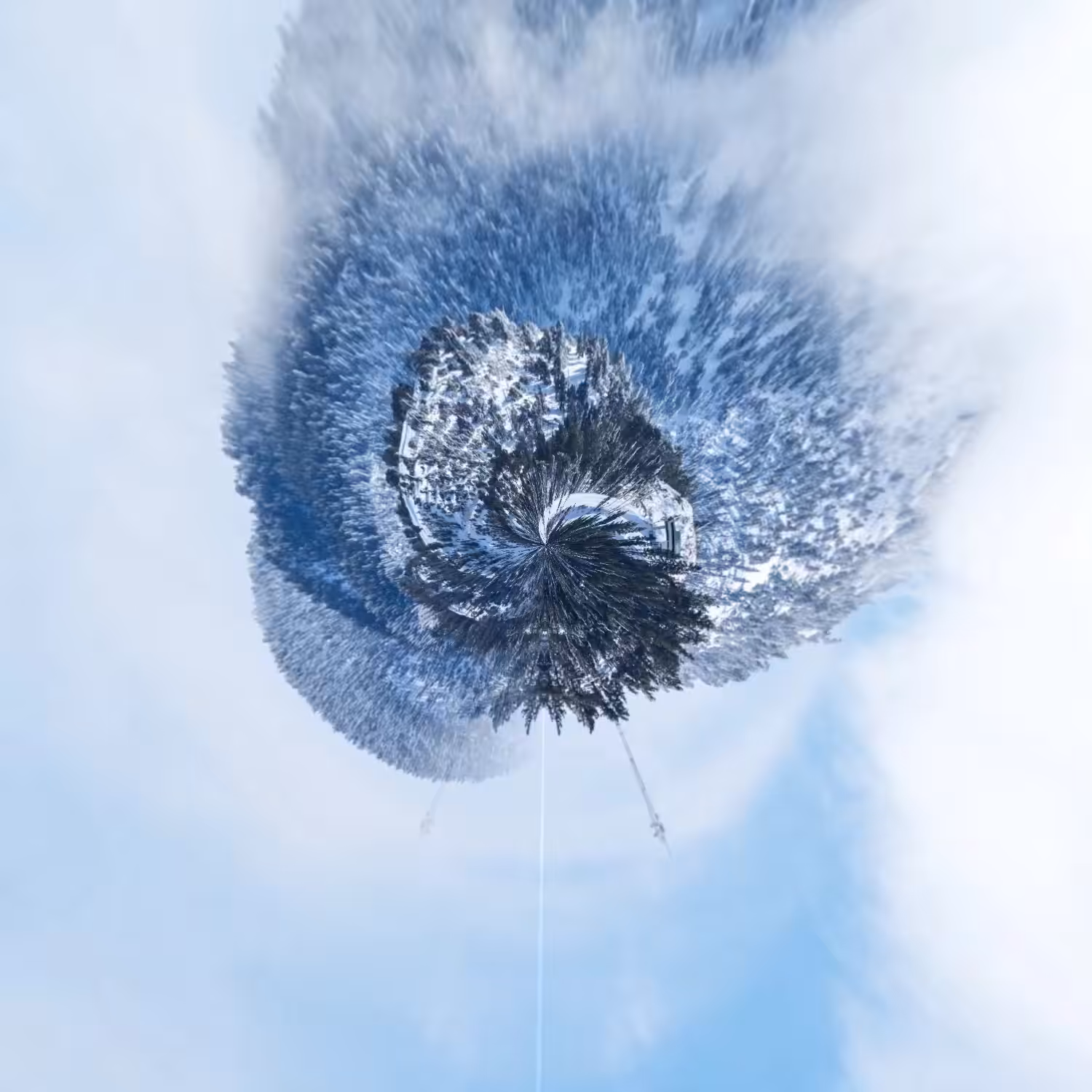tiny world: big bear