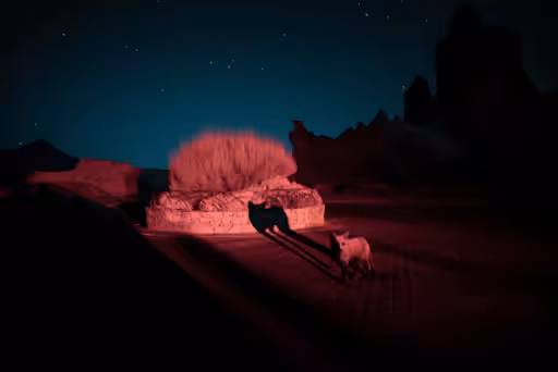 Unexpected light in the darkness