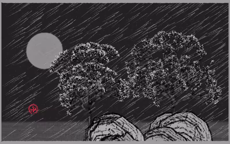 Bloom in the rain #99